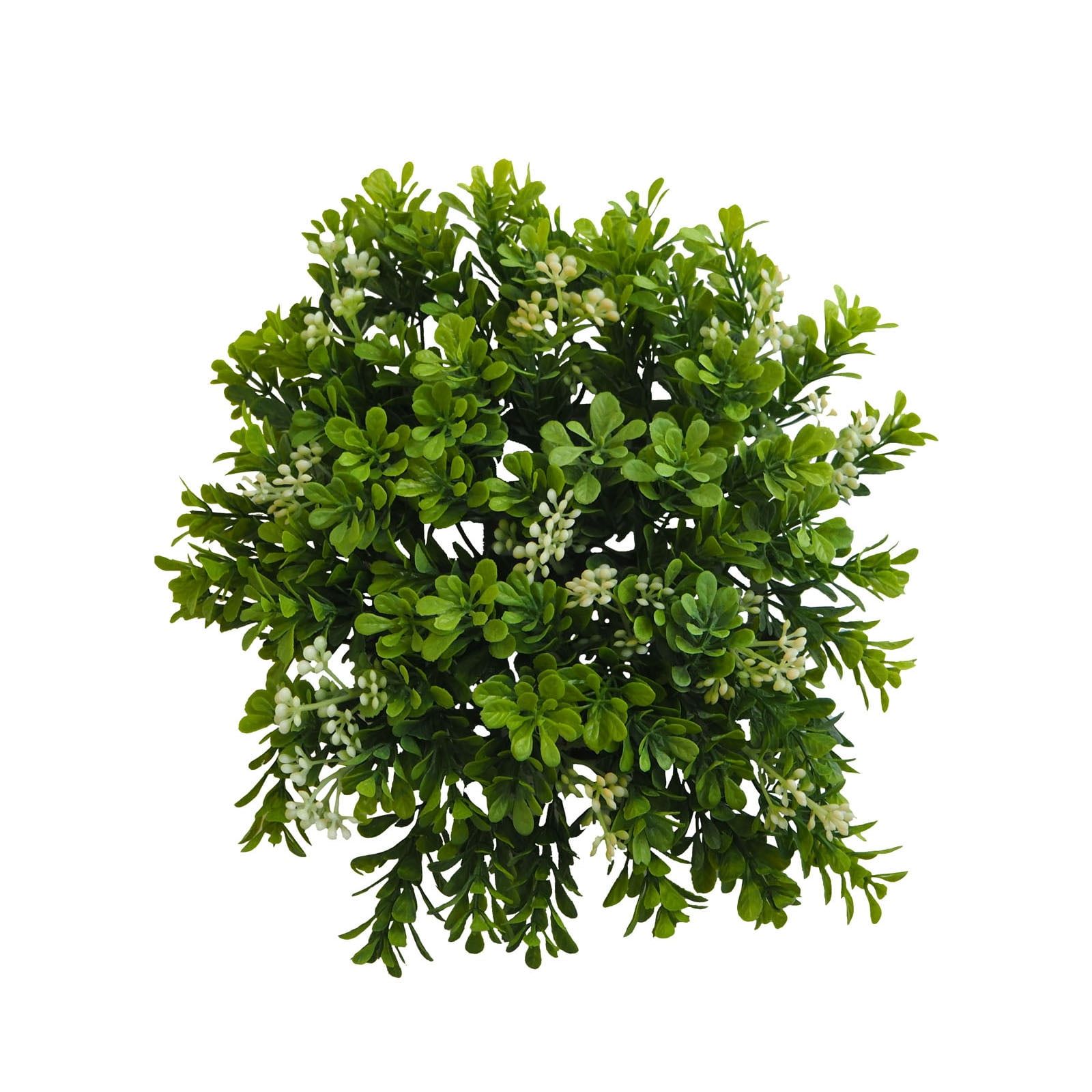 Green Boxwood Mat with White Accents, 3.5 Inches