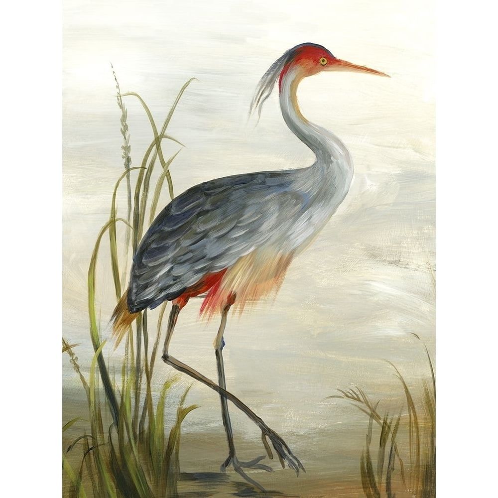 Grey Heron Fine Art Print on Heavy Stock Paper