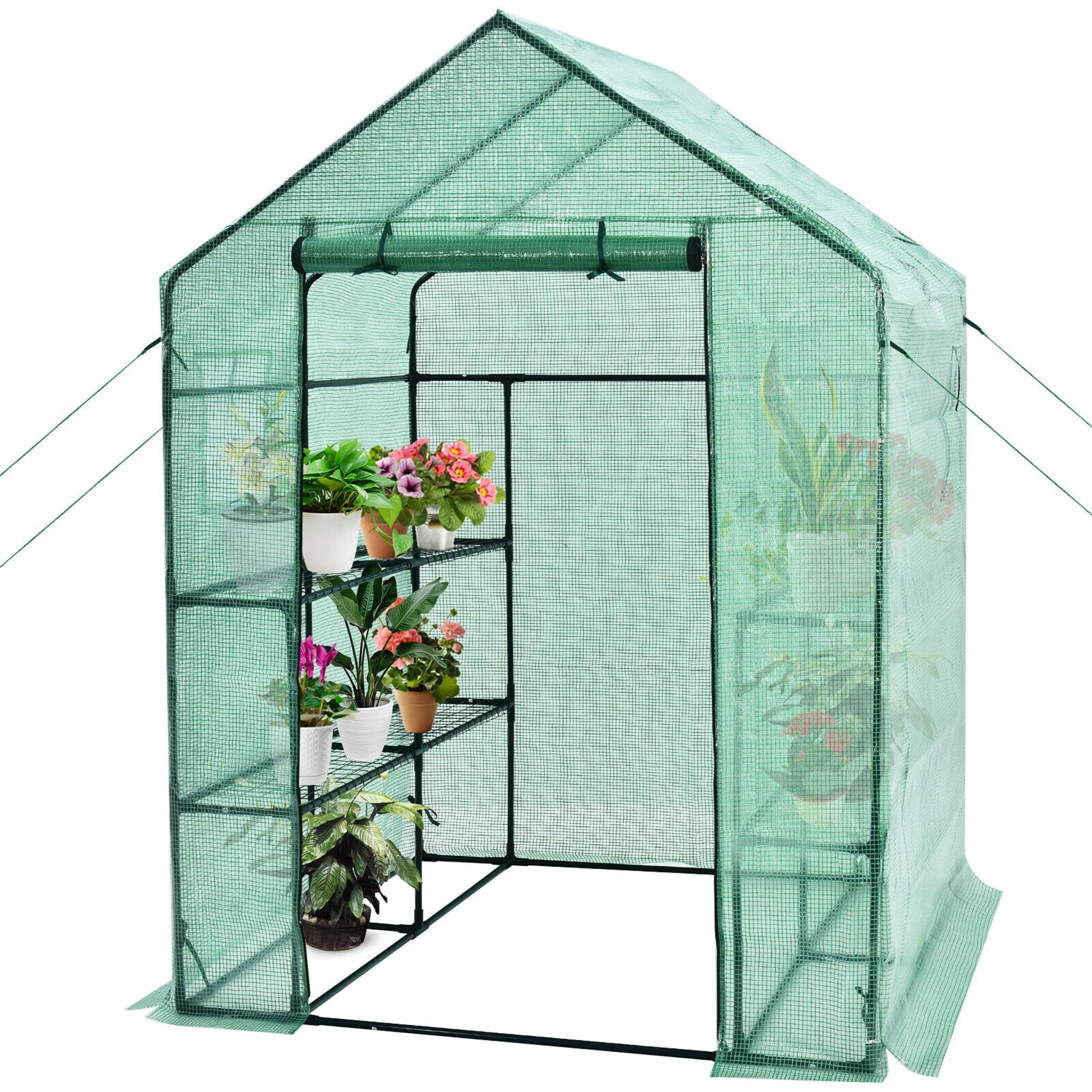 Green 56''x56''x77'' PE Walk-In Greenhouse with Shelves