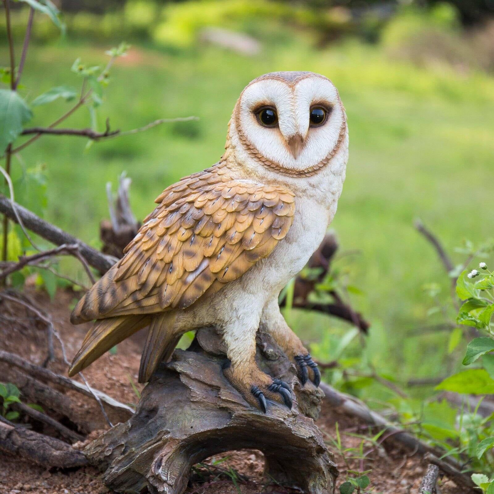 Life-Like Polyresin Owl on Branch Statue