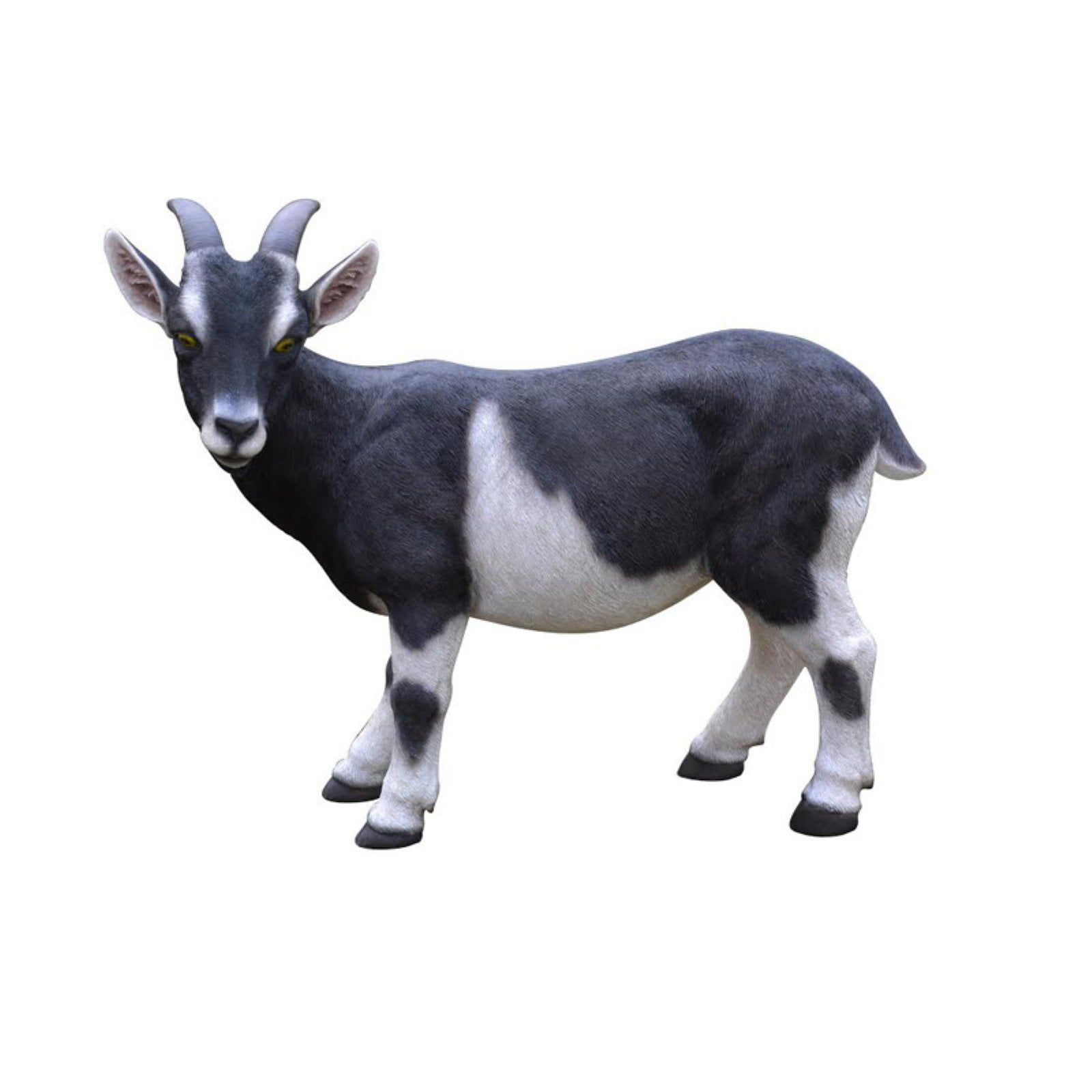 Black and White Polyresin Goat Indoor/Outdoor Statue