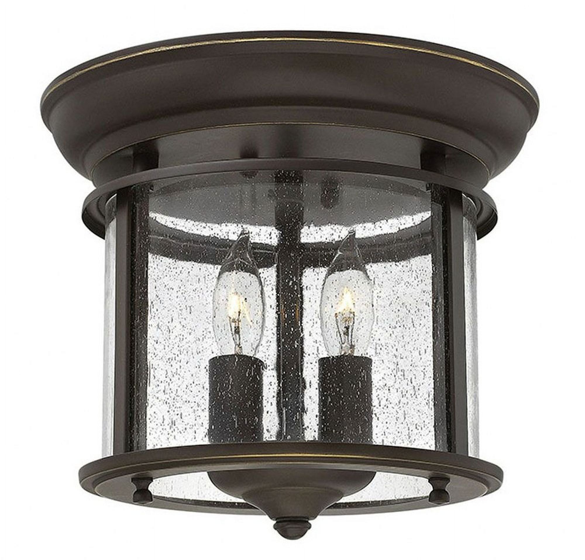 Olde Bronze Elegance 2-Light LED Flush Mount with Clear Seedy Panels