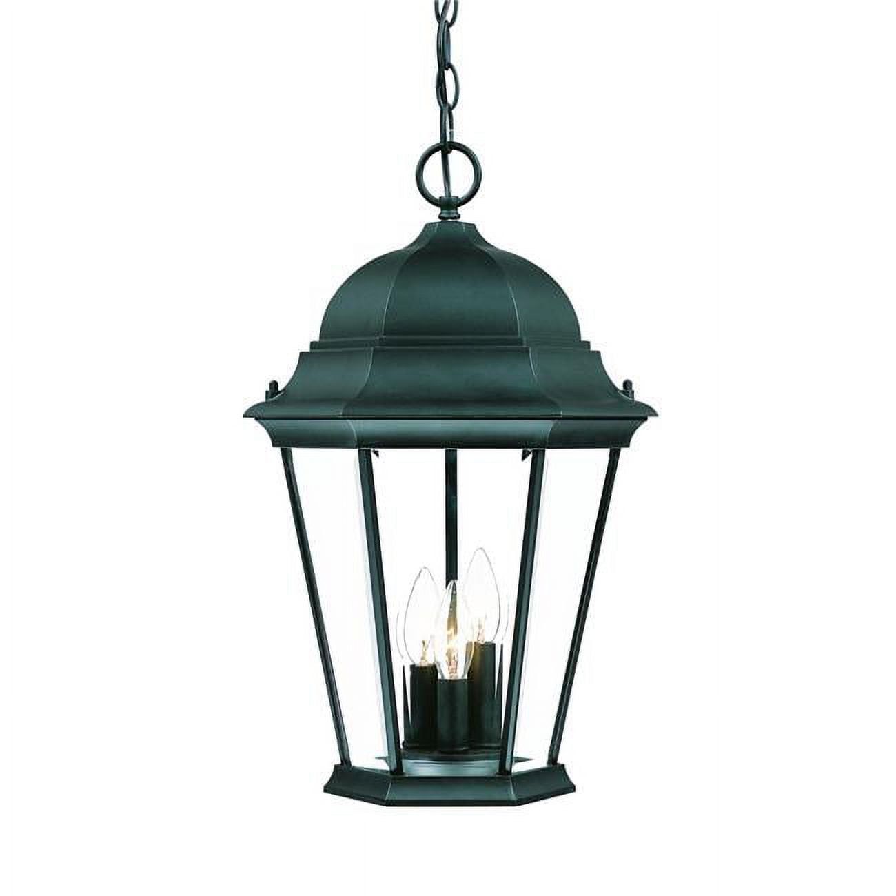 Matte Black Domed Glass Lantern Outdoor Light - 18.5"