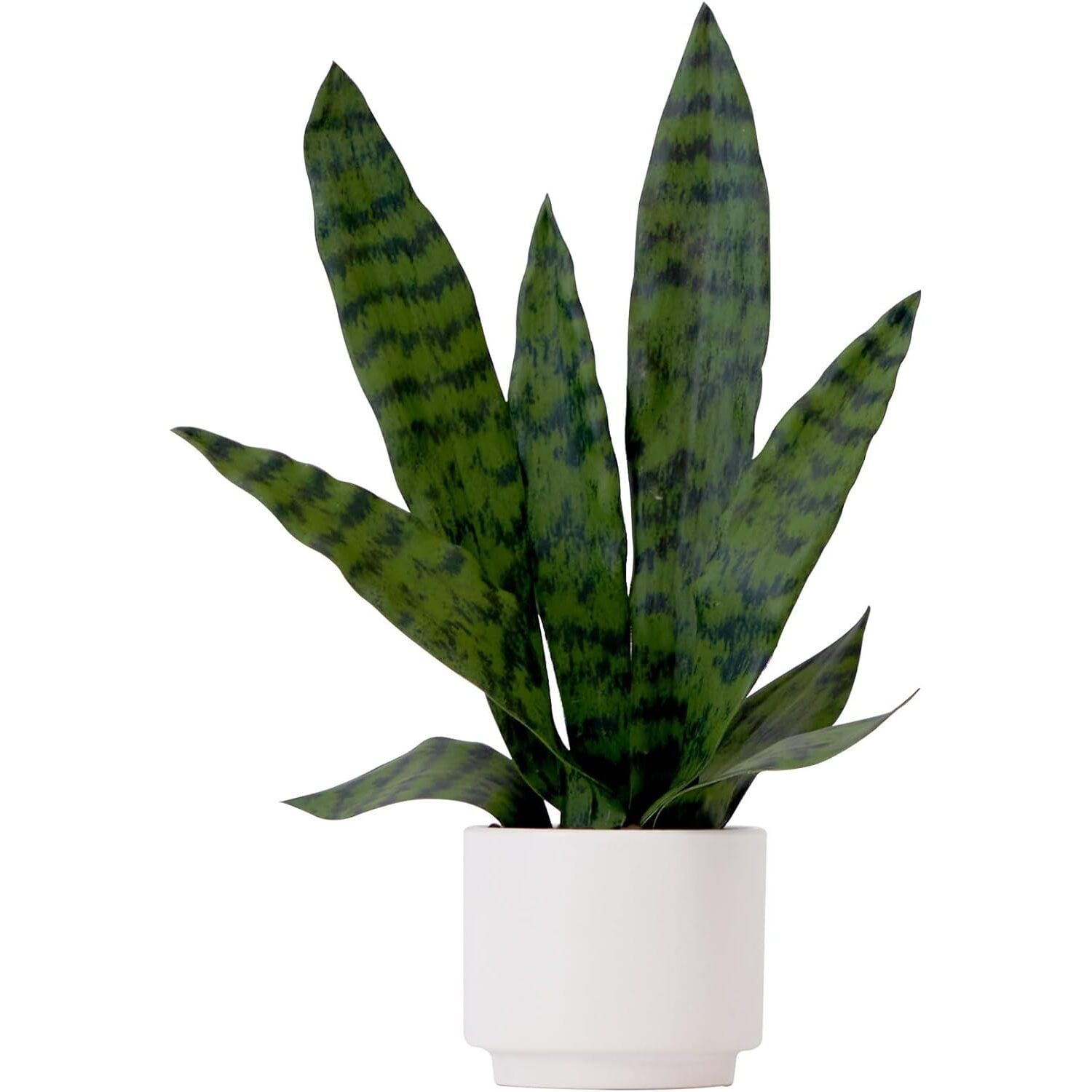 16'' Green Artificial Fern in White Ceramic Planter