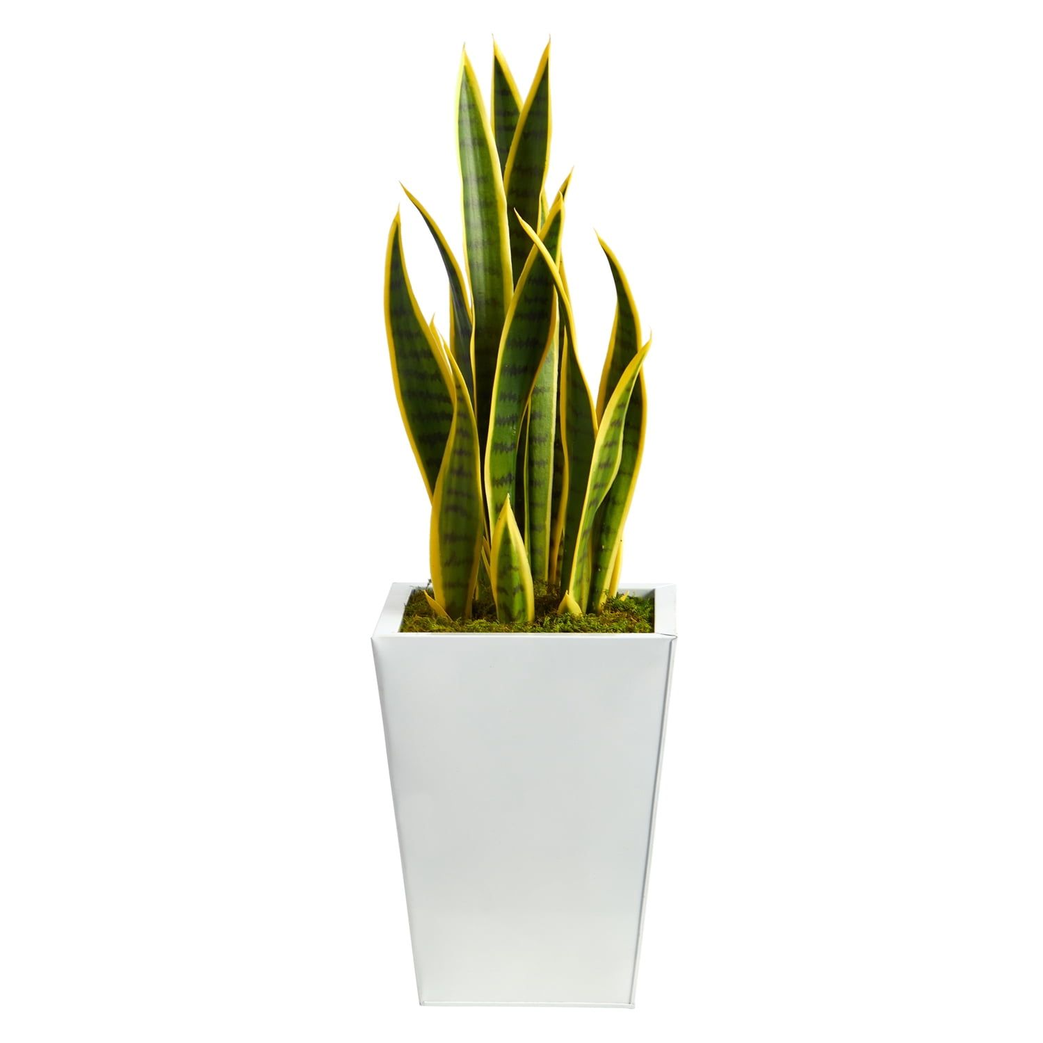 31-Inch Artificial Snake Plant in White Metal Planter