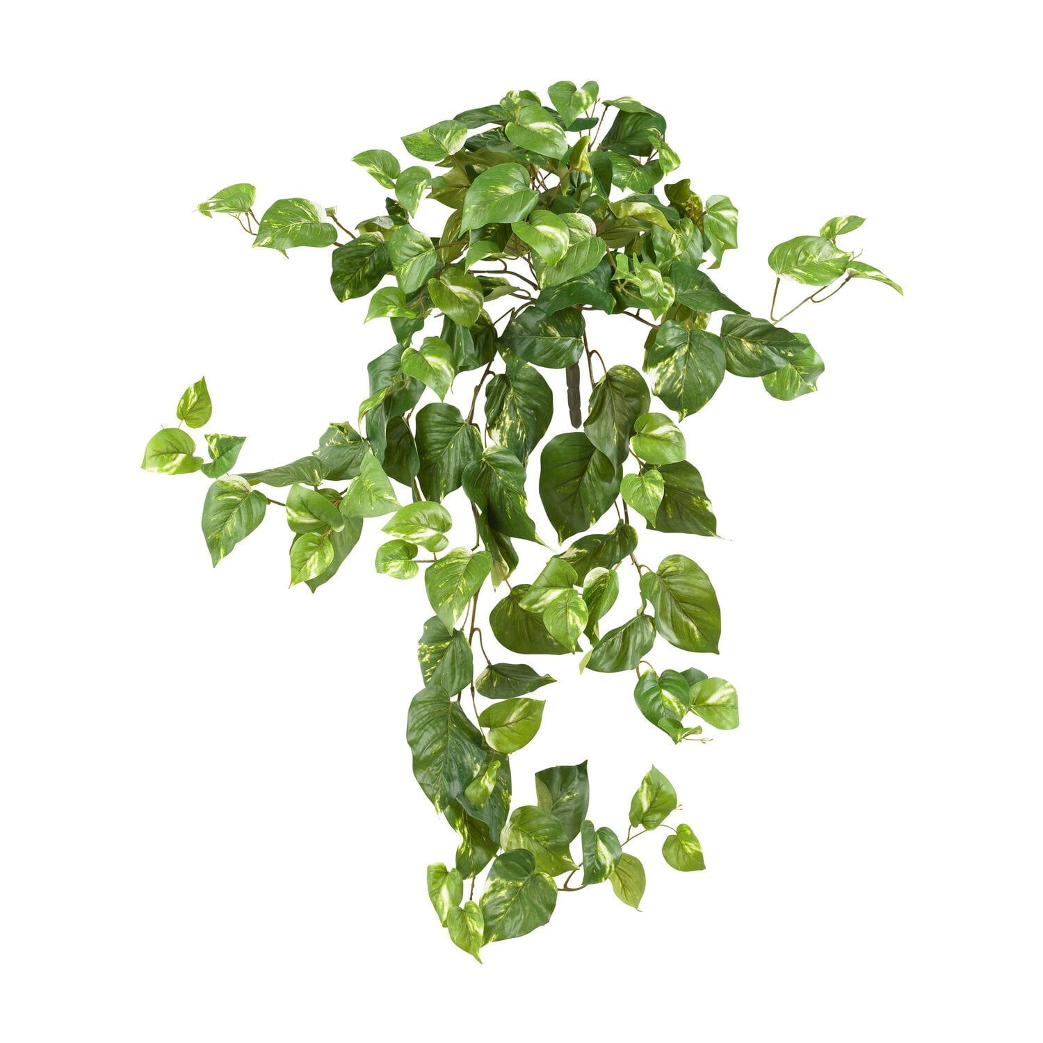 Lush 40" Pothos Vine Arrangement in Light Green and Yellow