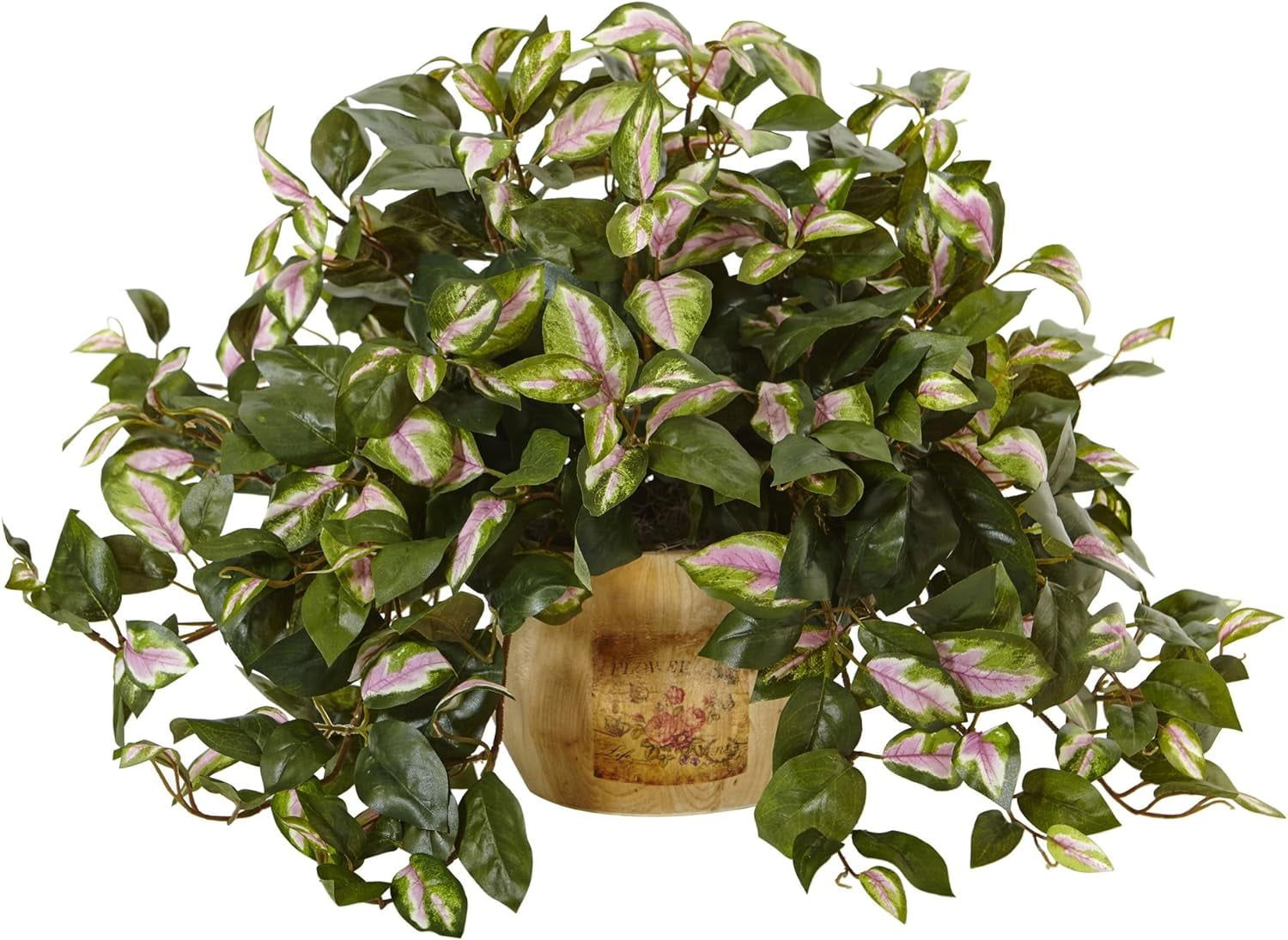 Tricolor Hoya 23" Green and White Plastic Arrangement in Wooden Pot