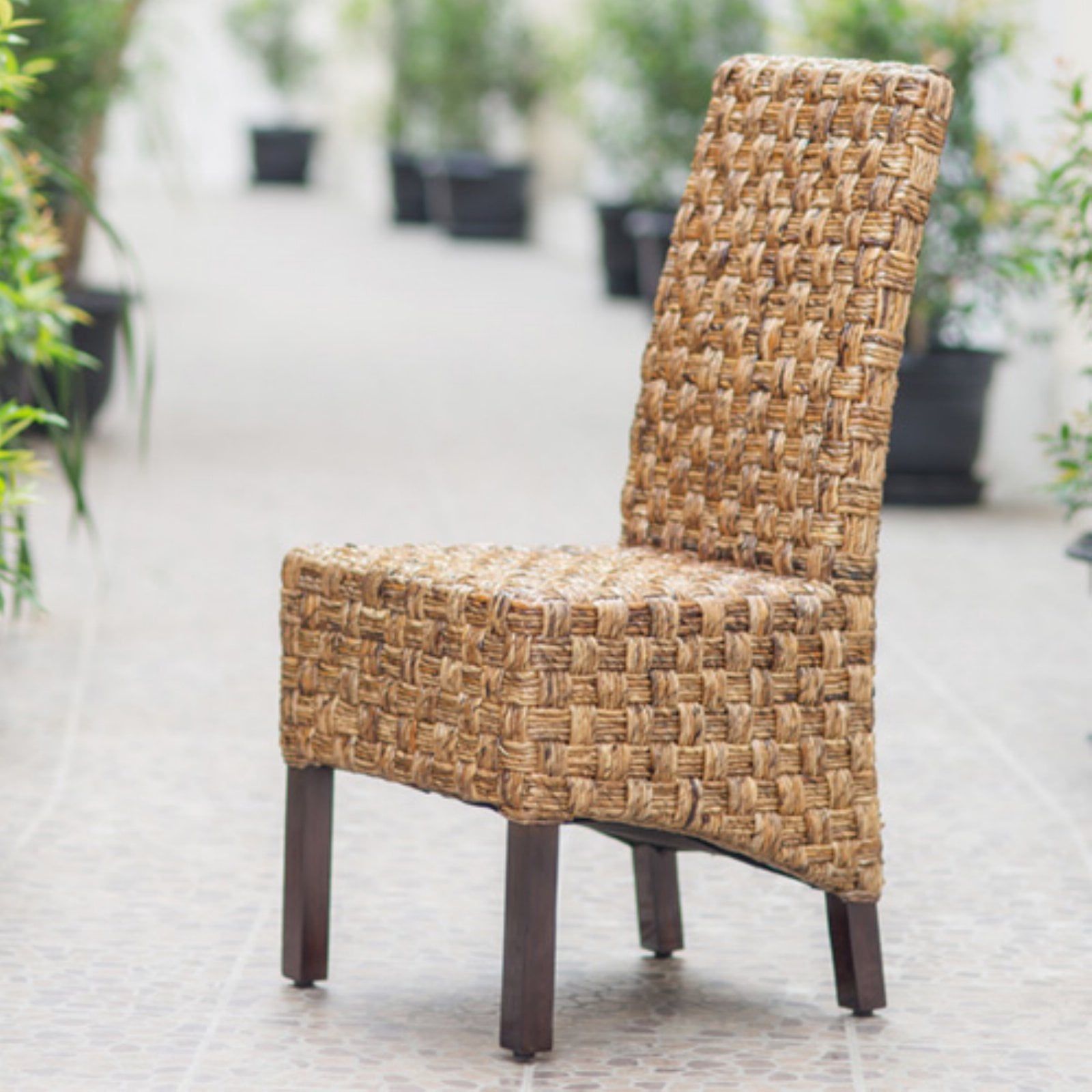 Victor Hand-Woven Abaca and Mahogany Side Chair