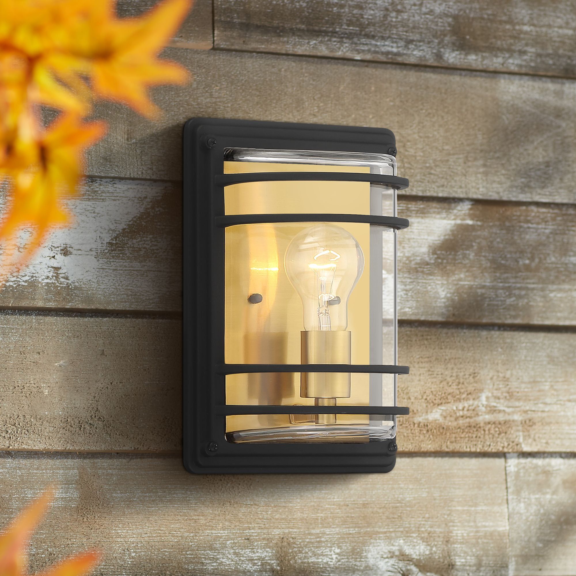 Modern Industrial Black Steel Outdoor Wall Light with Brass Accents