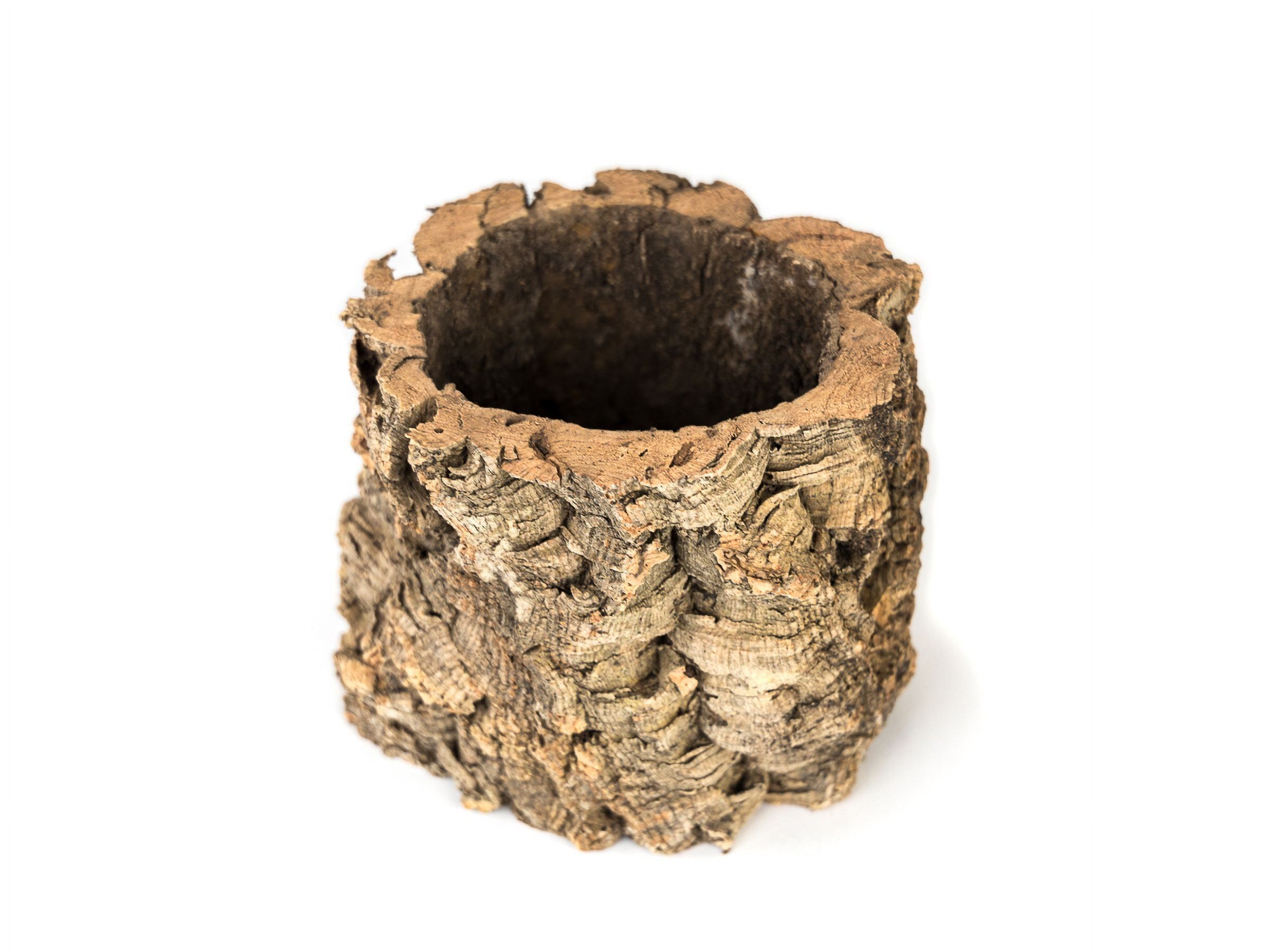 Natural 6-Inch Tall Cork Tree Planter Pot