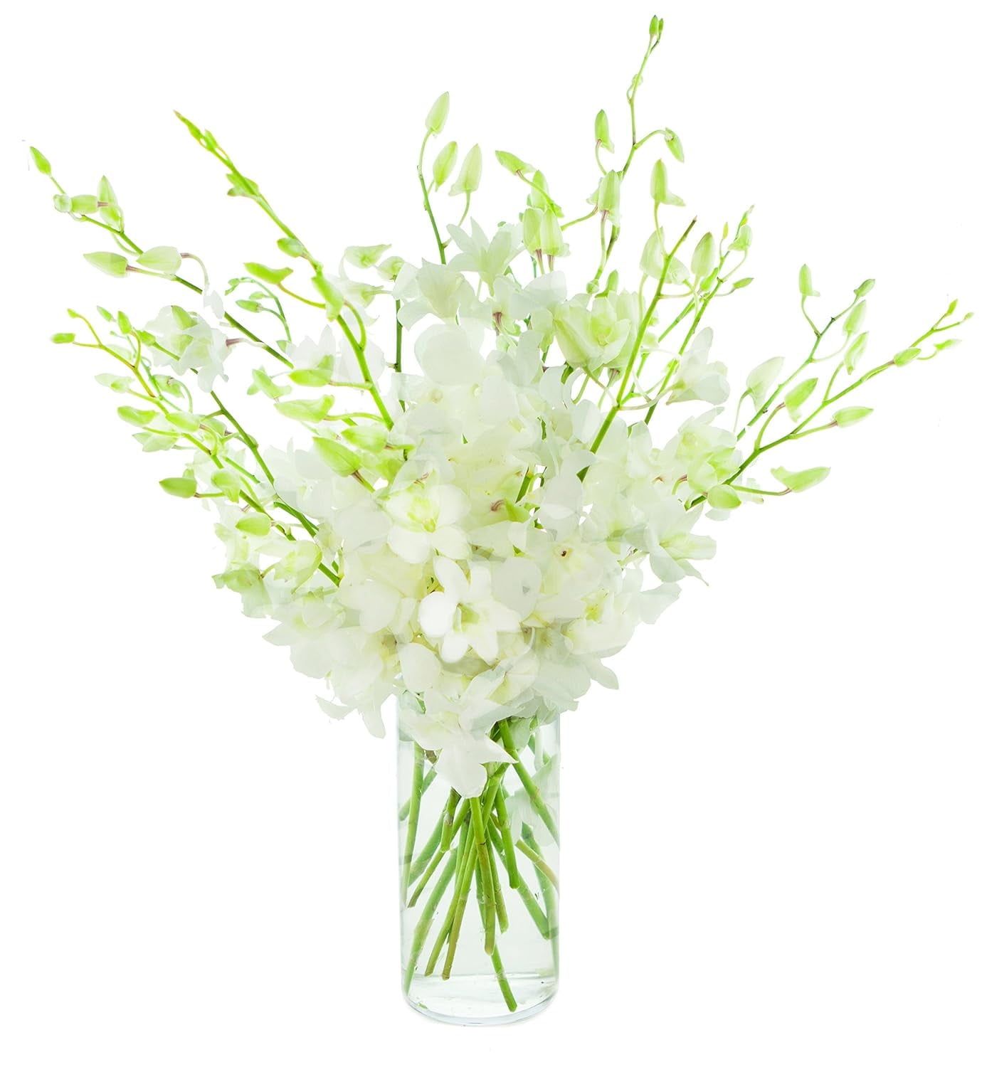 Elegant White Orchid Bouquet with Vase