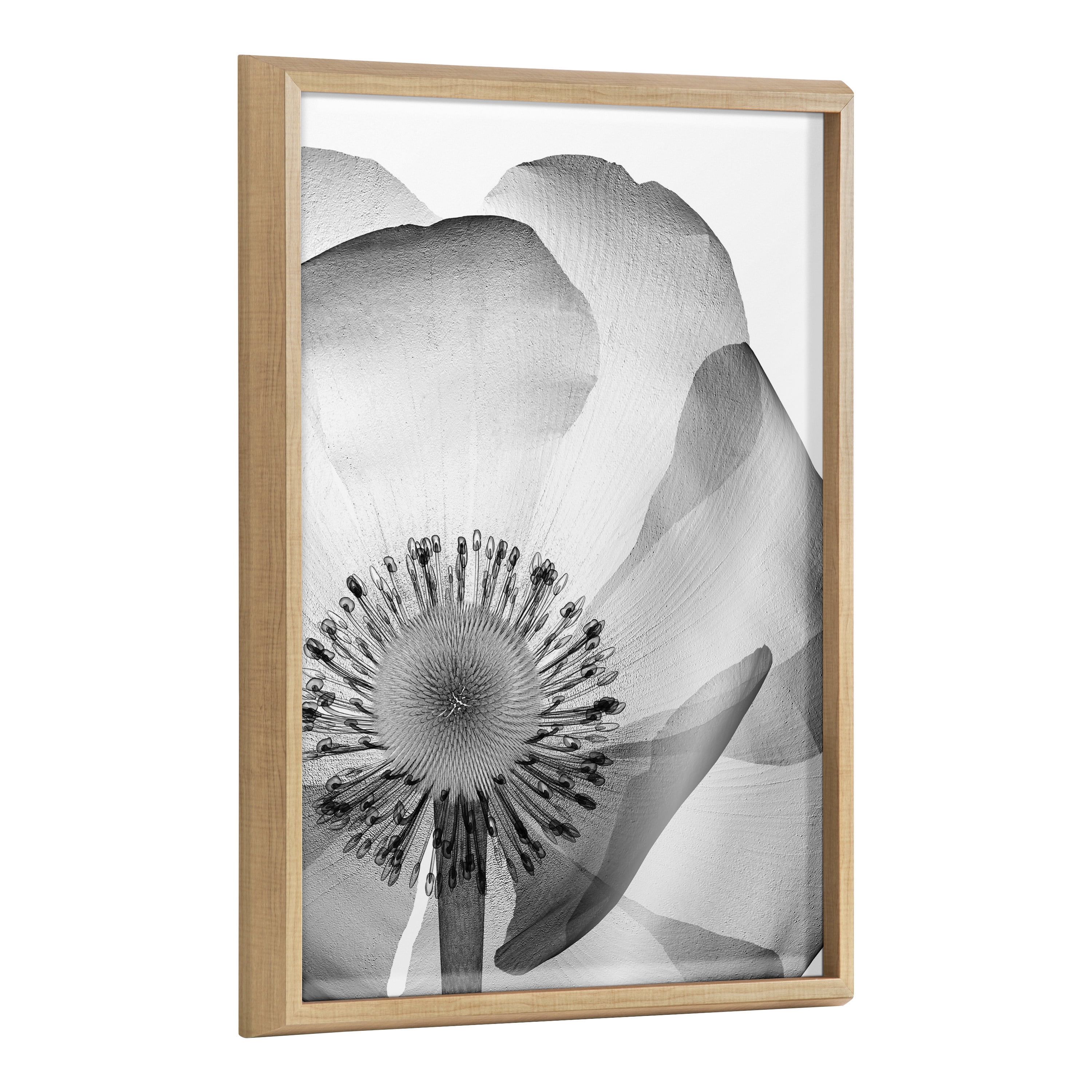 Natural Framed Black and White Floral Glass Print, 18x24