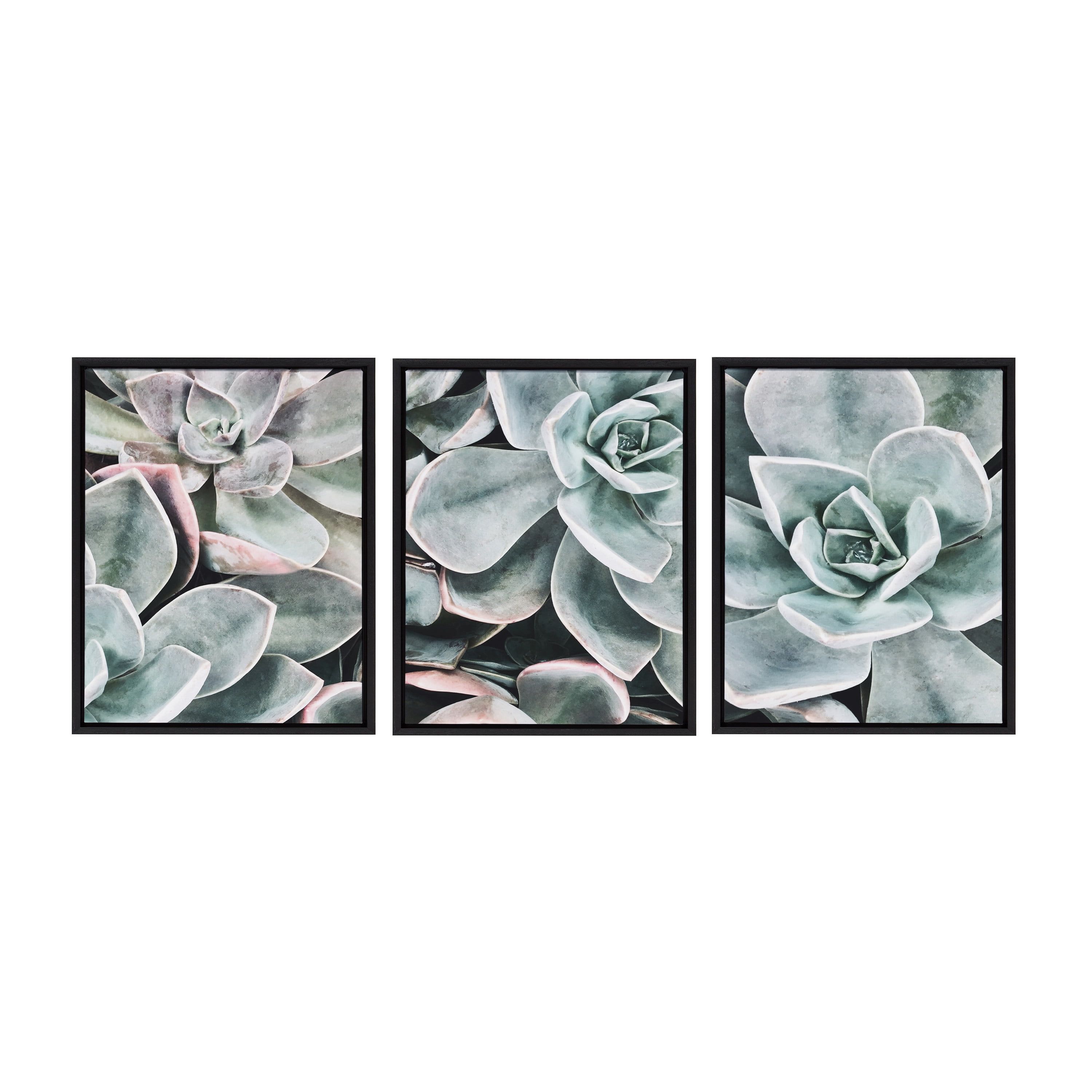 Botanical Succulent Plants Framed Canvas Wall Art Set for Nursery