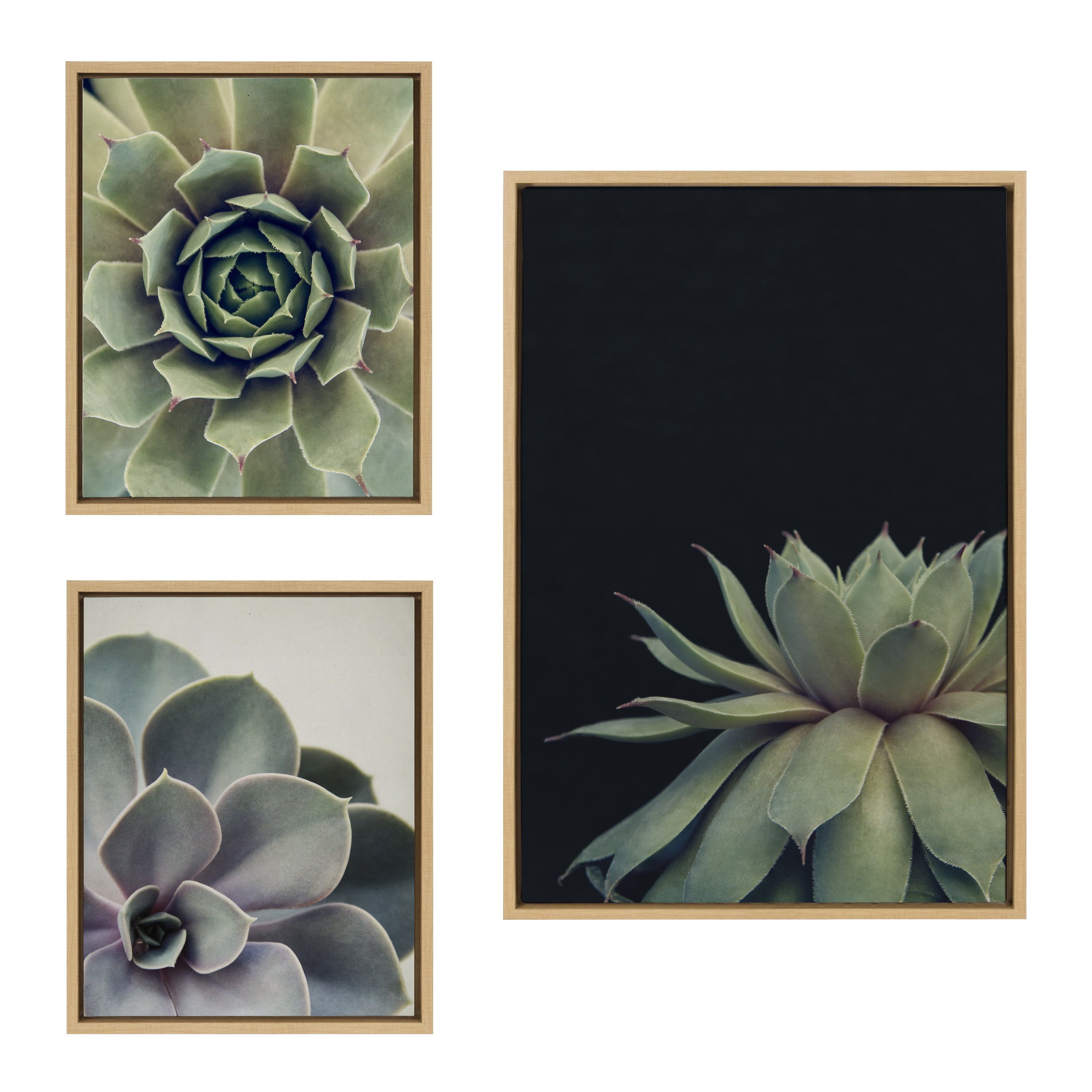 Natural Framed Succulent Canvas Wall Art Set, 3 Pieces