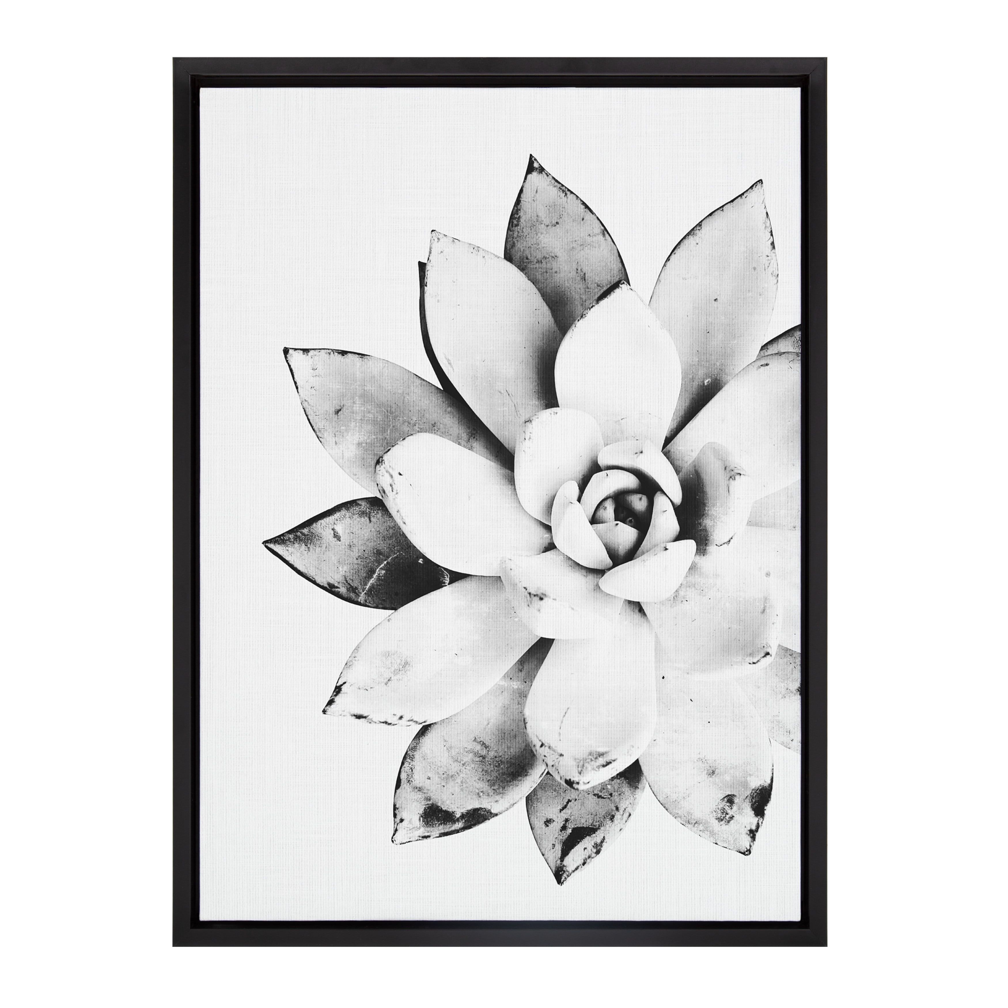 Black and White Succulent Canvas Print with Polystyrene Frame, 18x24