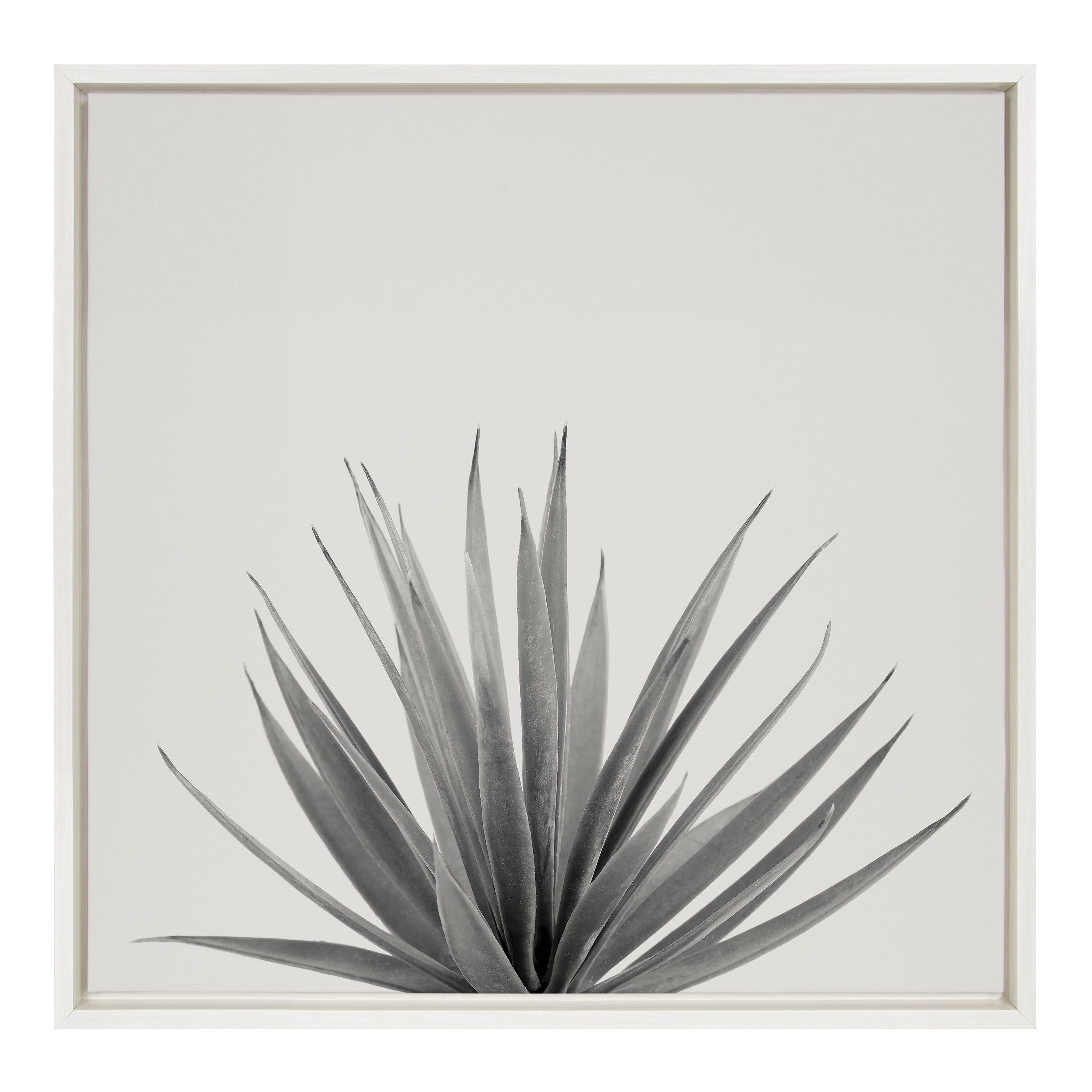 22x22 White Framed Canvas Agave Succulent Print