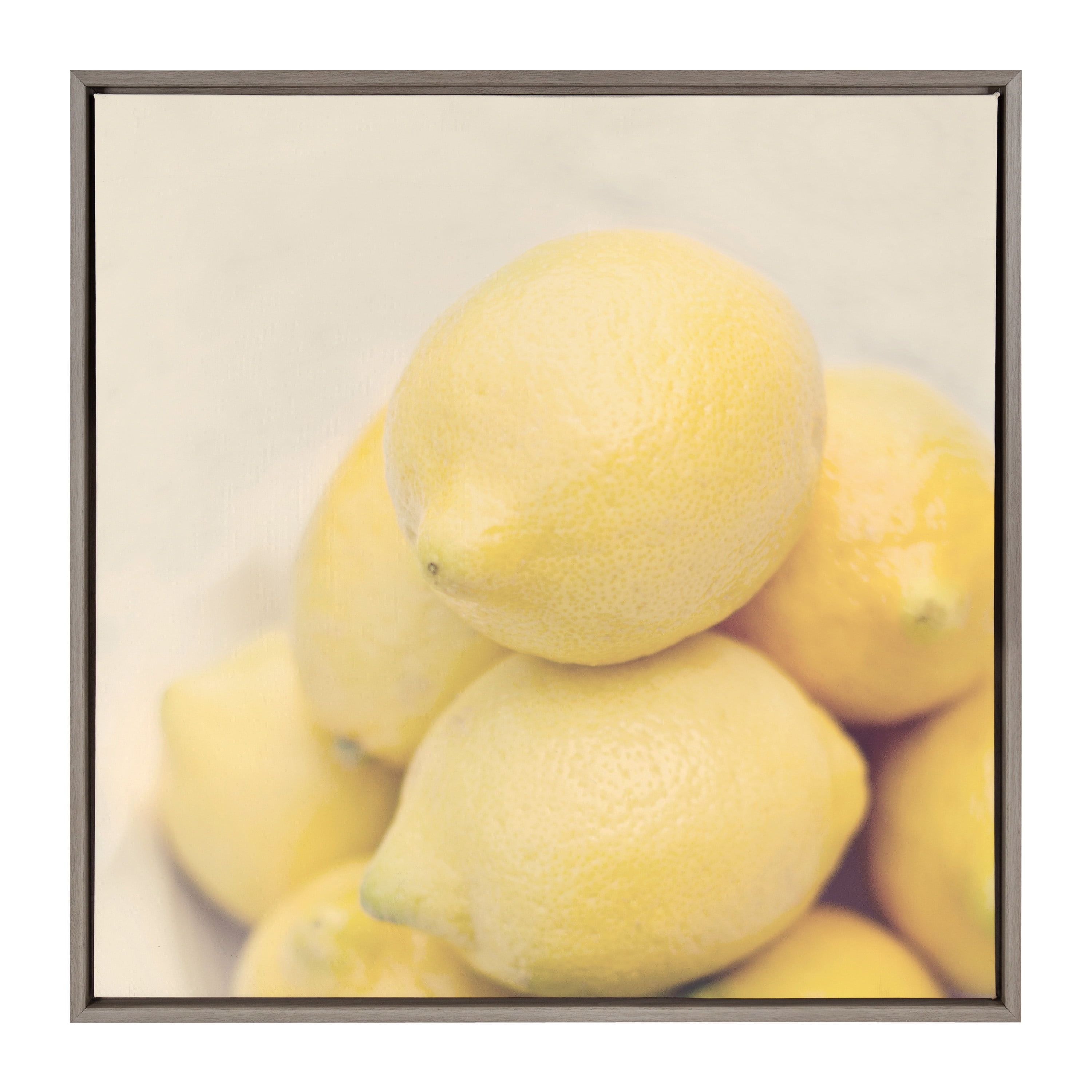 Sylvie Lemons Framed Canvas Art Print, 30x30