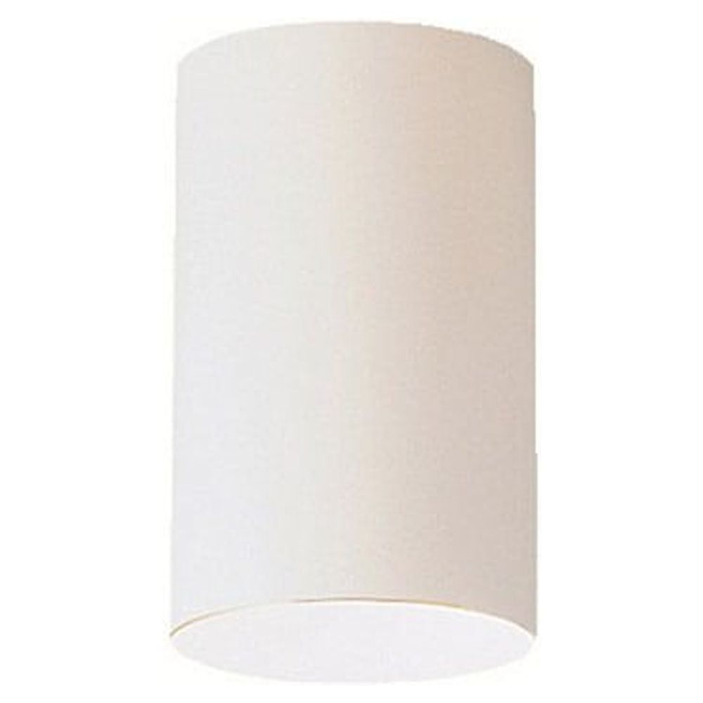 Modern White Aluminum 8.5" Outdoor Ceiling Light