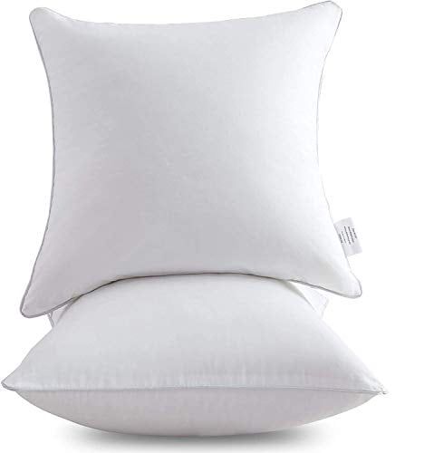 Leeden 20 x 20 White Cotton Plush Throw Pillow Inserts, Set of 2