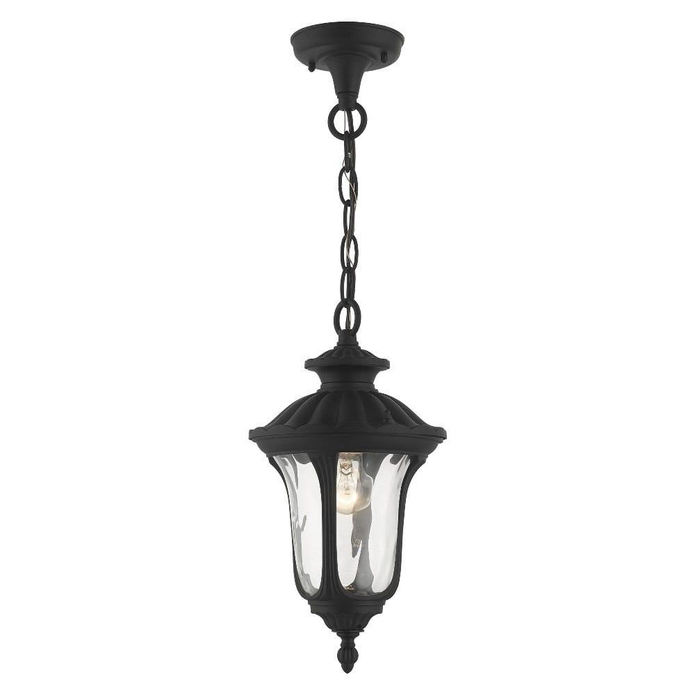 Oxford Textured Black Hand Blown Glass 1-Light Outdoor Pendant