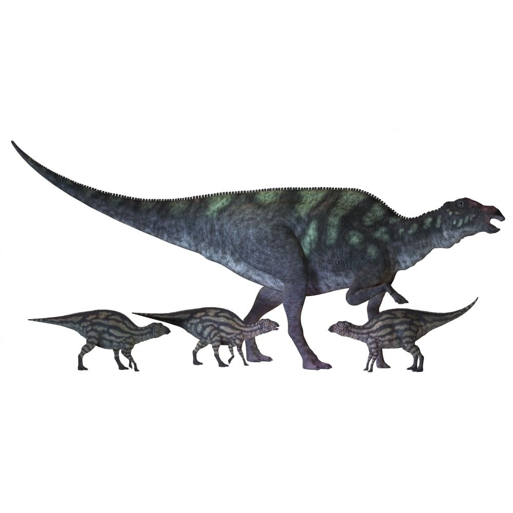 Maiasaura Dinosaur with Offspring 20 x 10 Poster Print