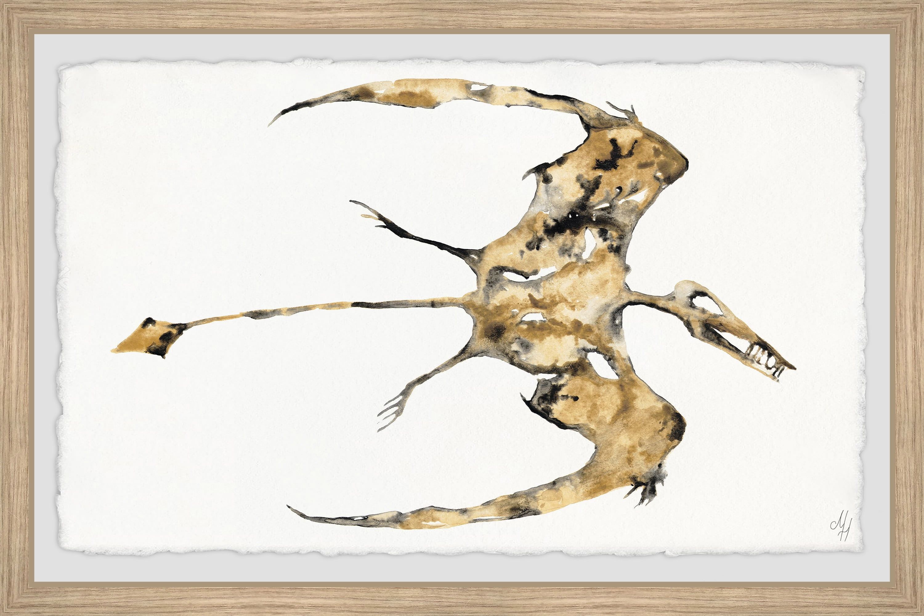 Pterodactyl Fossil Print on Canvas with Wood Frame