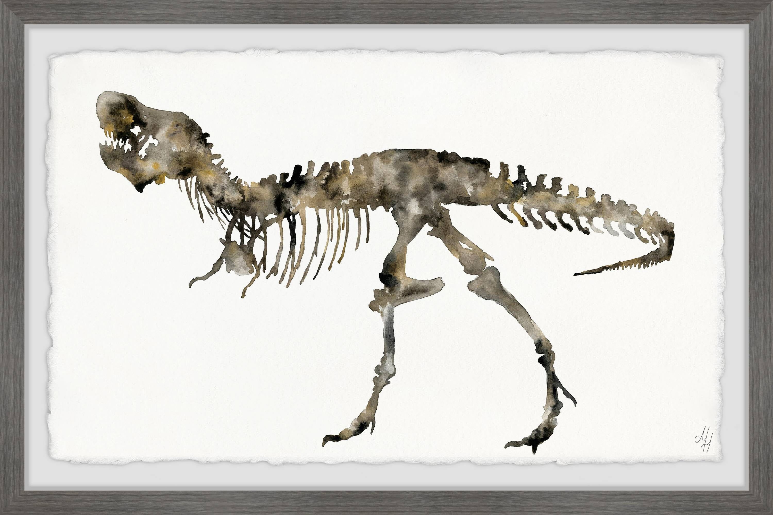 T-Rex Fossil Print on Canvas with Gray Frame