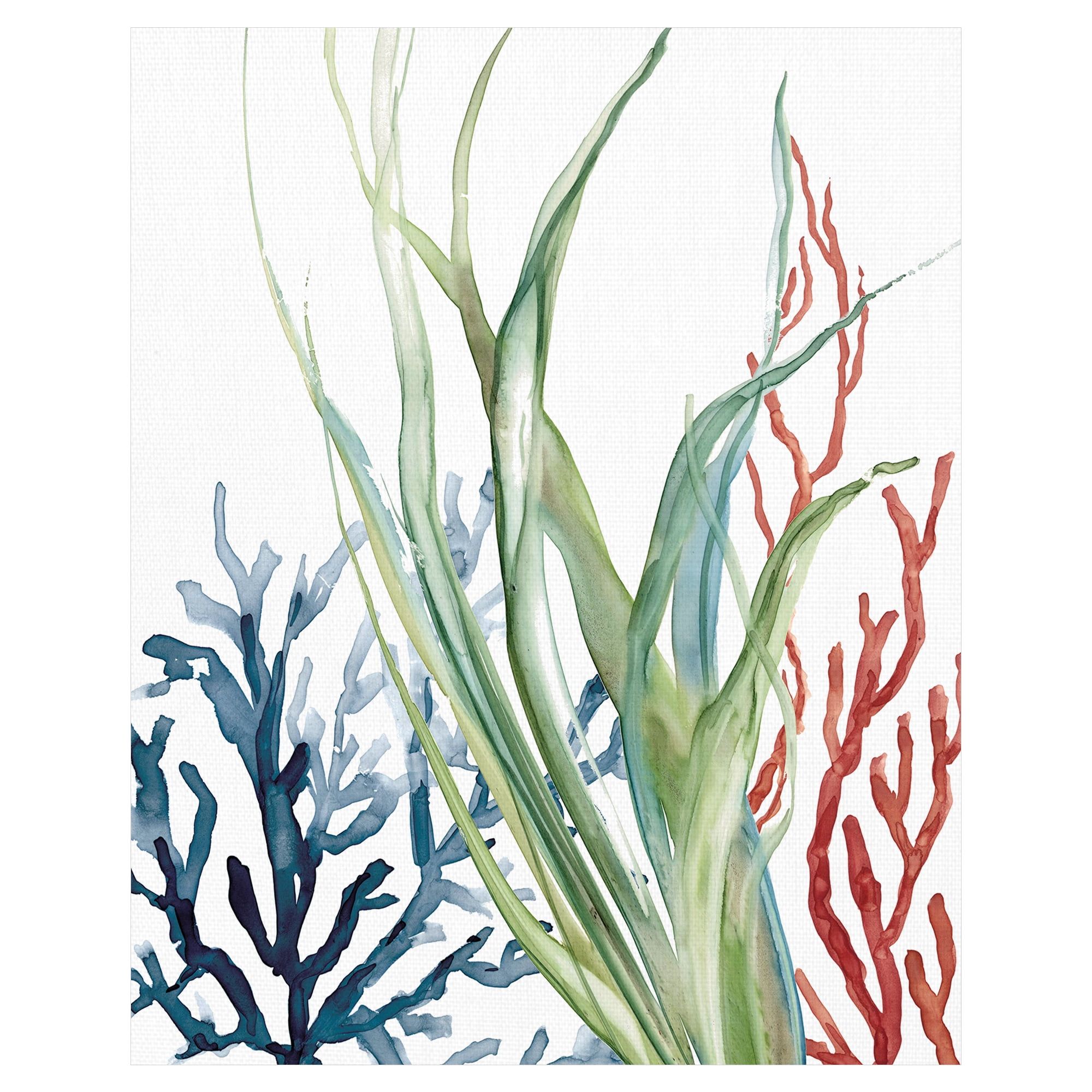 Ocean Magic II Marine Botanical Canvas Art Print for Kids