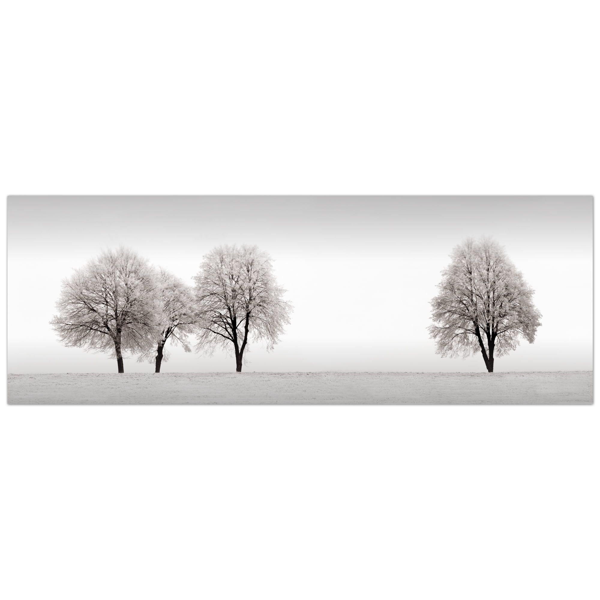 Snowy Tree Line Black and White Canvas Print 16" x 48"