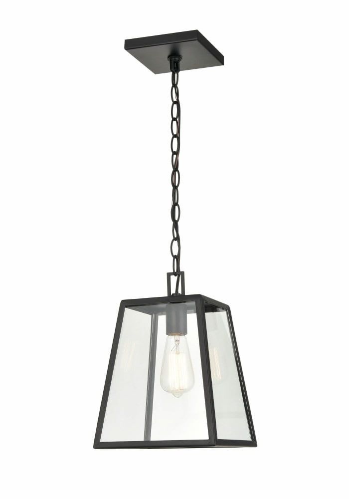 Powder Coat Black Glass Outdoor Pendant Light