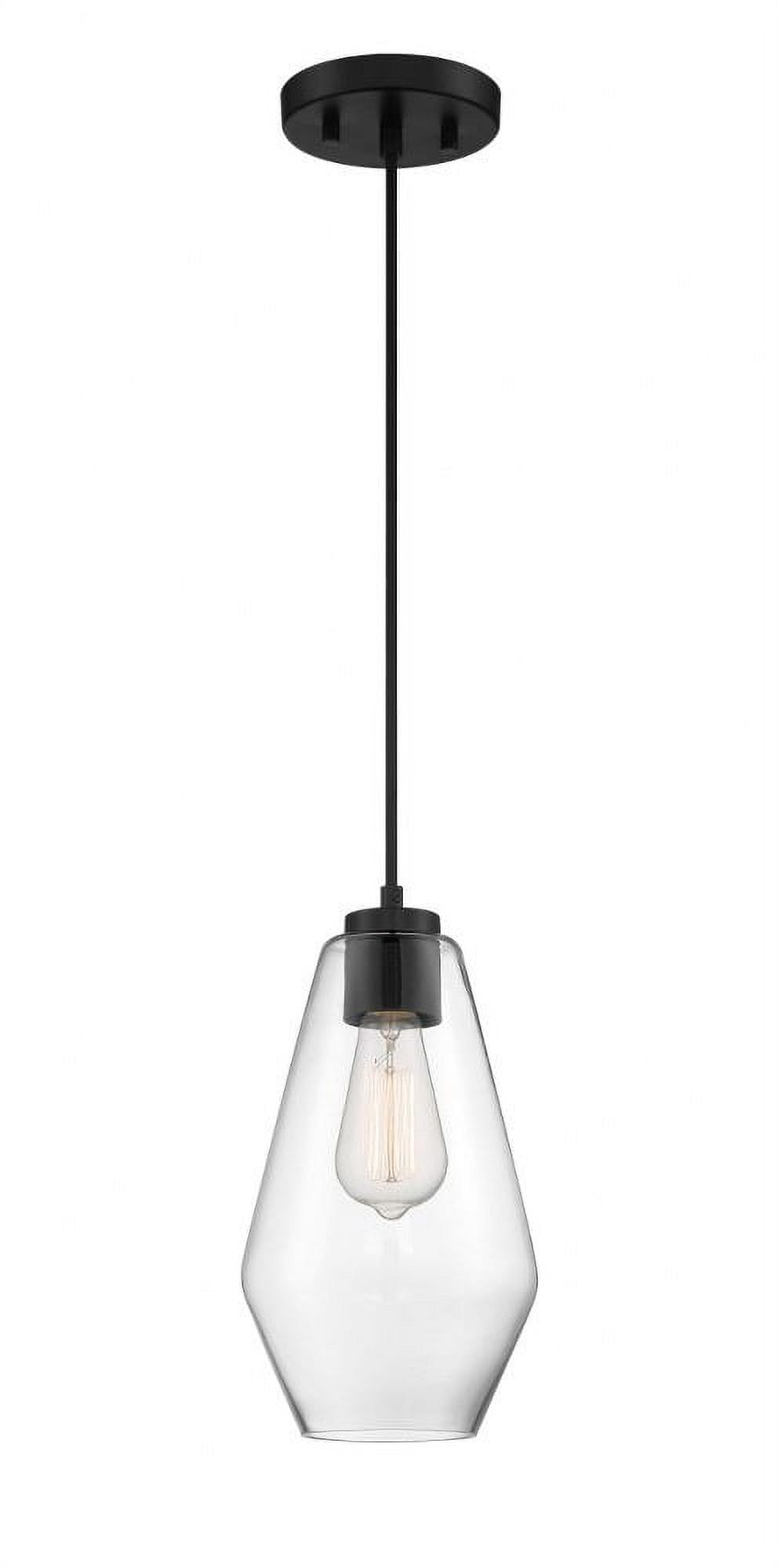 Coal Clear Glass 60W Incandescent Indoor/Outdoor Pendant Light