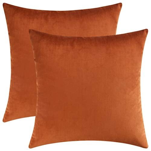 Burnt Orange Velvet 18x18 Square Pillow Covers Set of 2