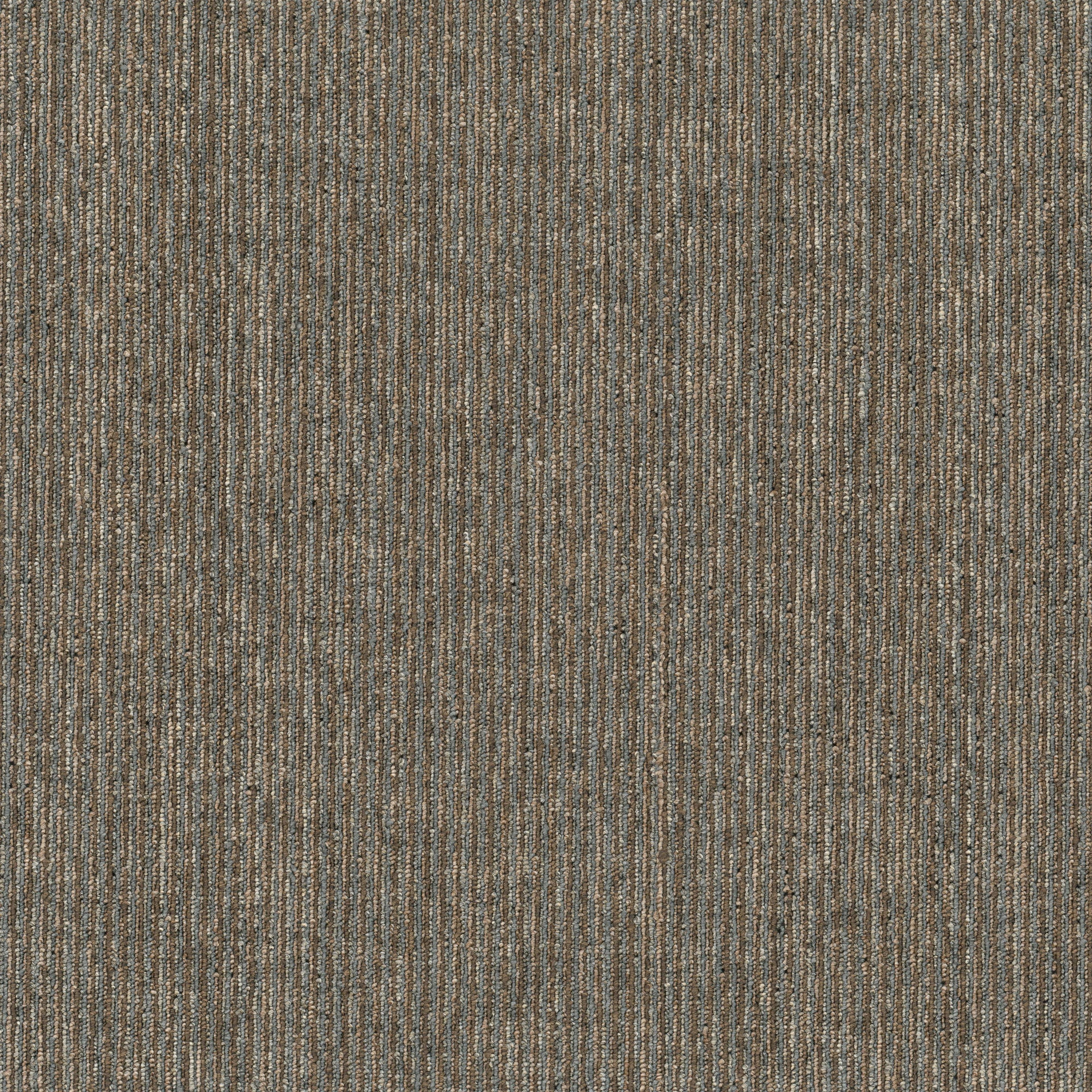 Neutral 24" x 24" Textured Loop Carpet Tile with PET Fiber