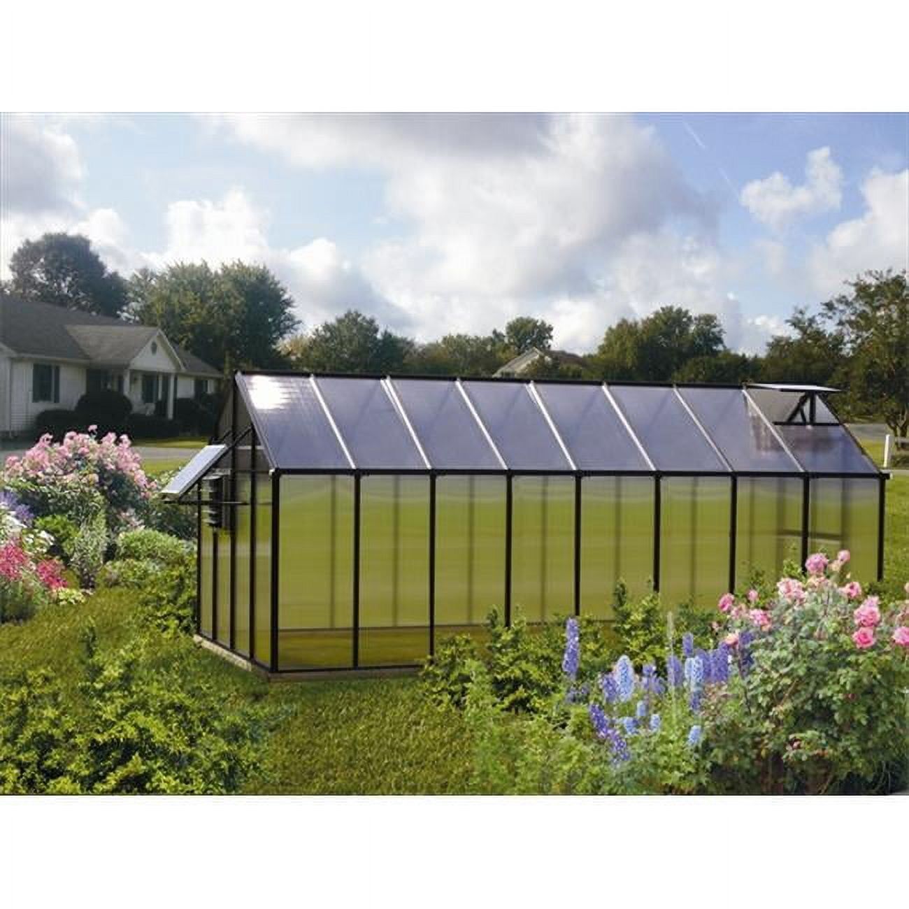 Monticello 8 x 16 Ft. Black Aluminum Greenhouse with Solar Ventilation