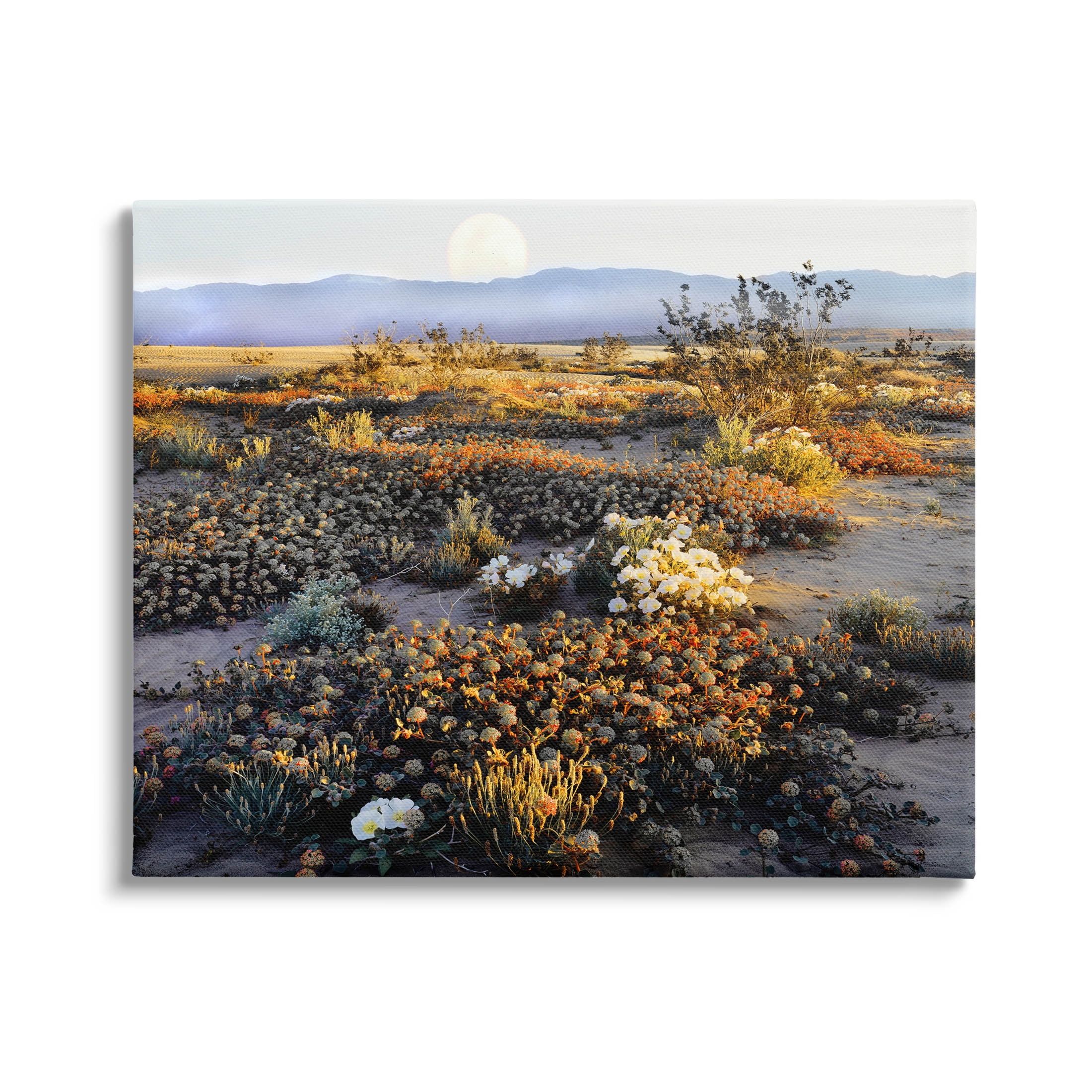 Mountain View Desert Vegetation Landscape Canvas Wall Art