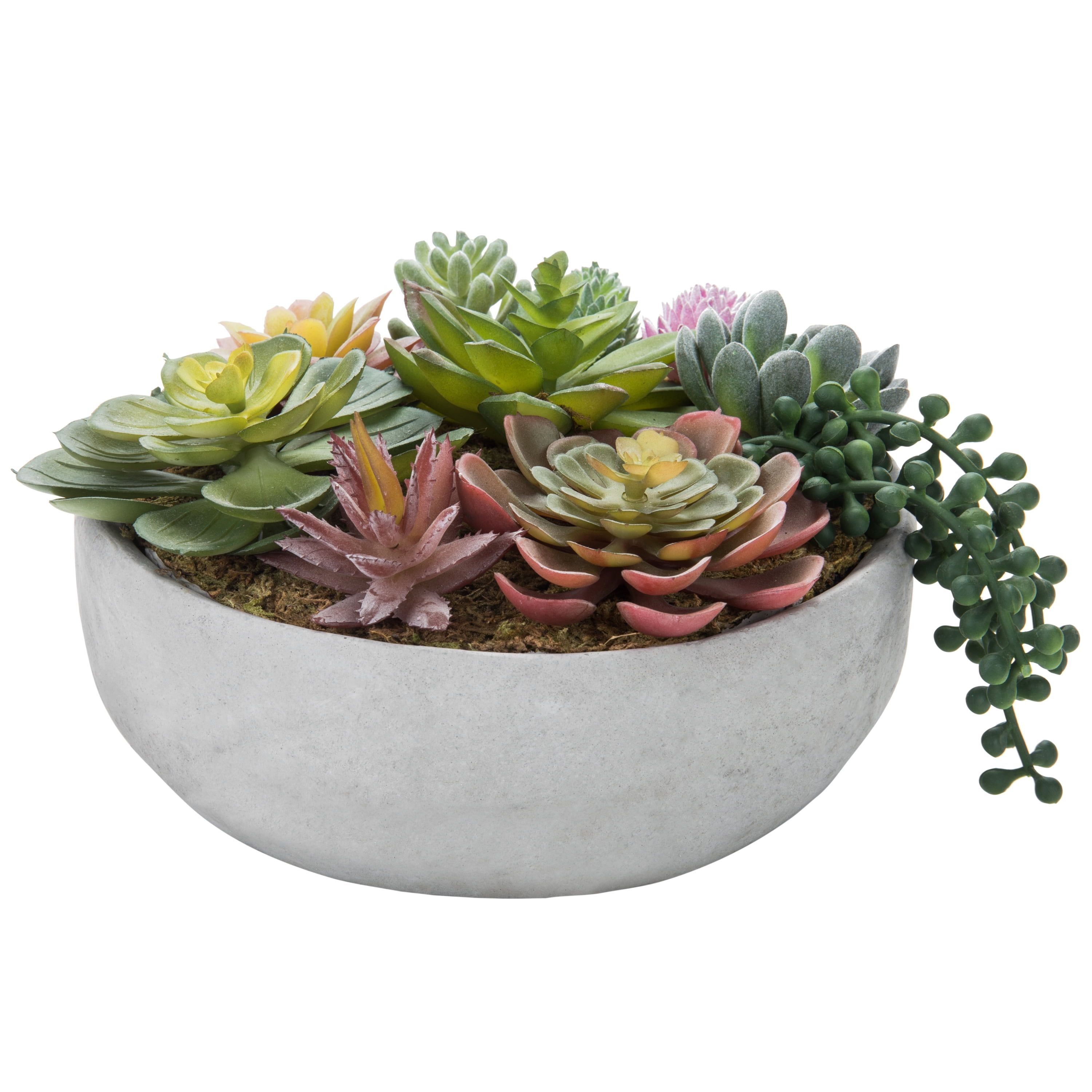 8-Inch Round Gray Concrete Pot with Assorted Faux Succulents