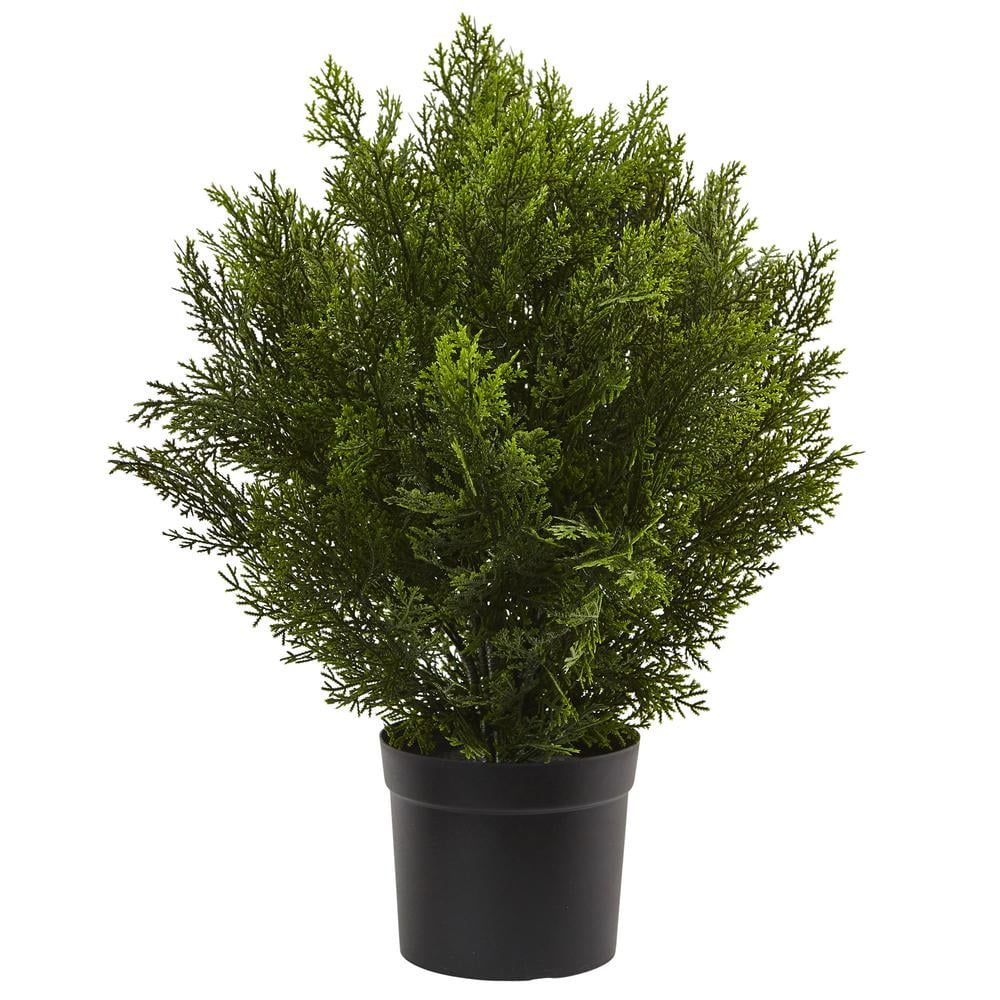 2-Foot Faux Cedar Bush in Black Plastic Pot