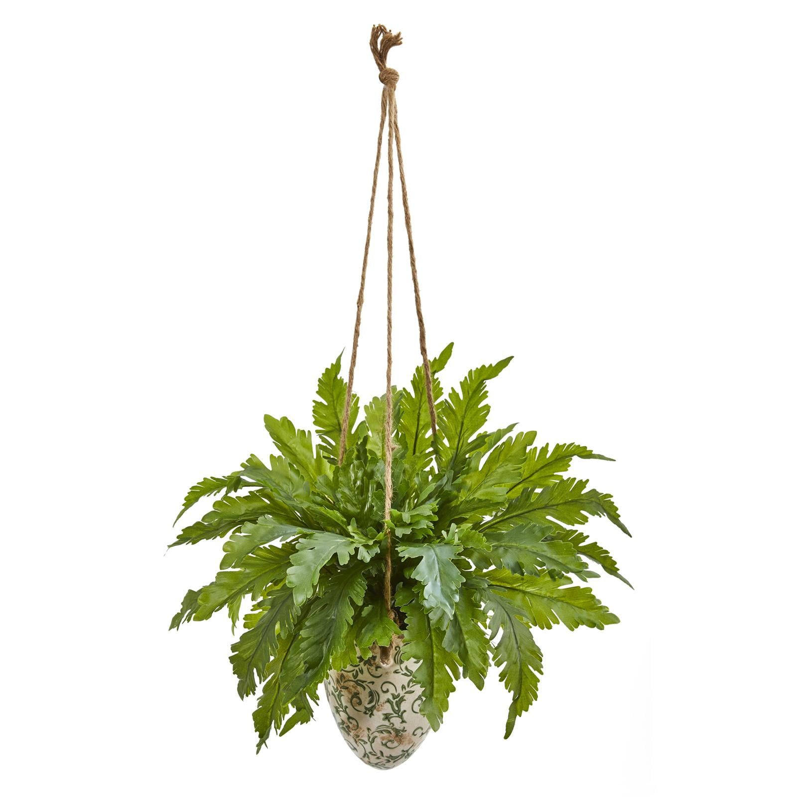 Summer Elegance Fern in Antique-Style Hanging Vase