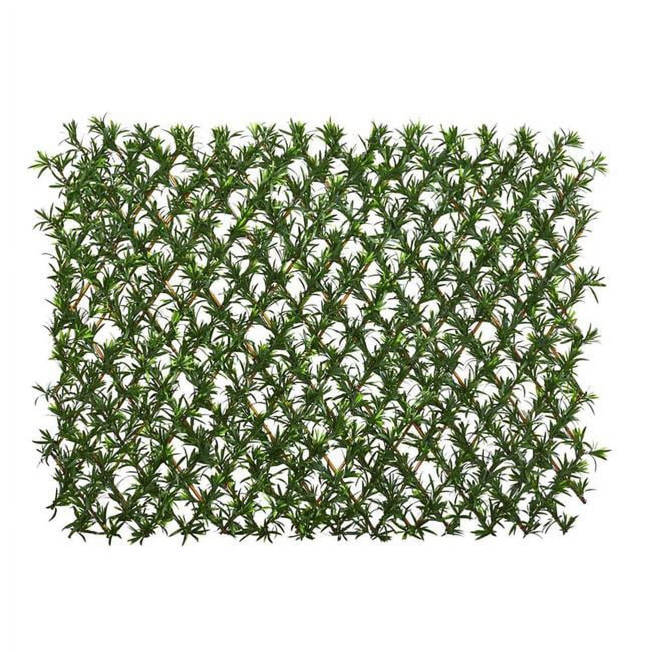 Expandable Green Podocarpus UV Resistant Plastic Fence