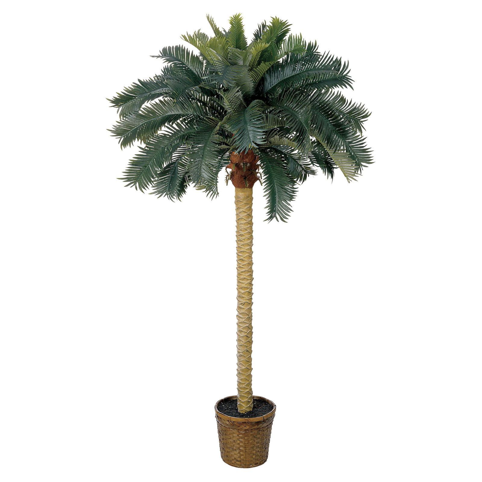 6' Green Silk Sago Palm Tree in Decorative Pot