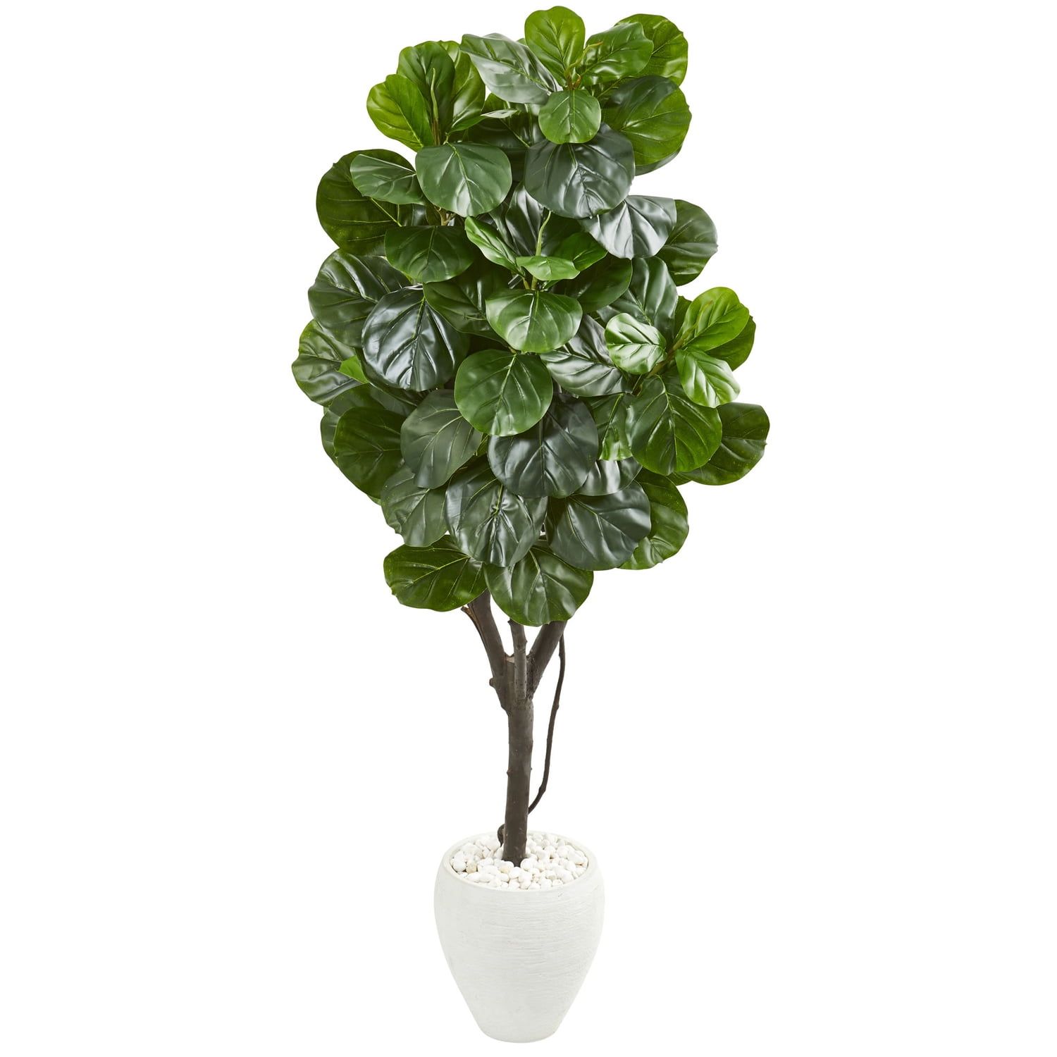 Lush 69" Outdoor Fiddle Leaf Fig in Sleek White Planter