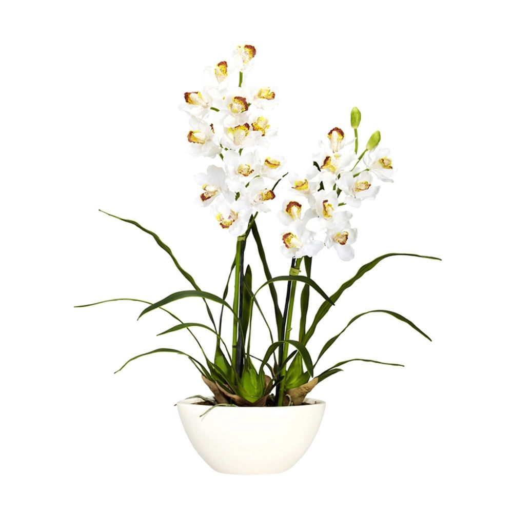 White Cymbidium Orchid in Ceramic Vase