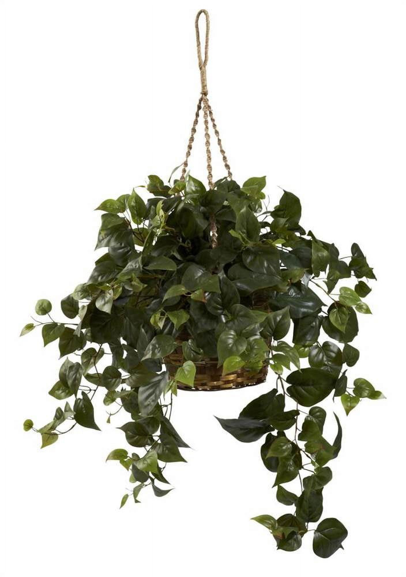 Lush Green Silk Philodendron in Decorative Plastic Hanging Basket