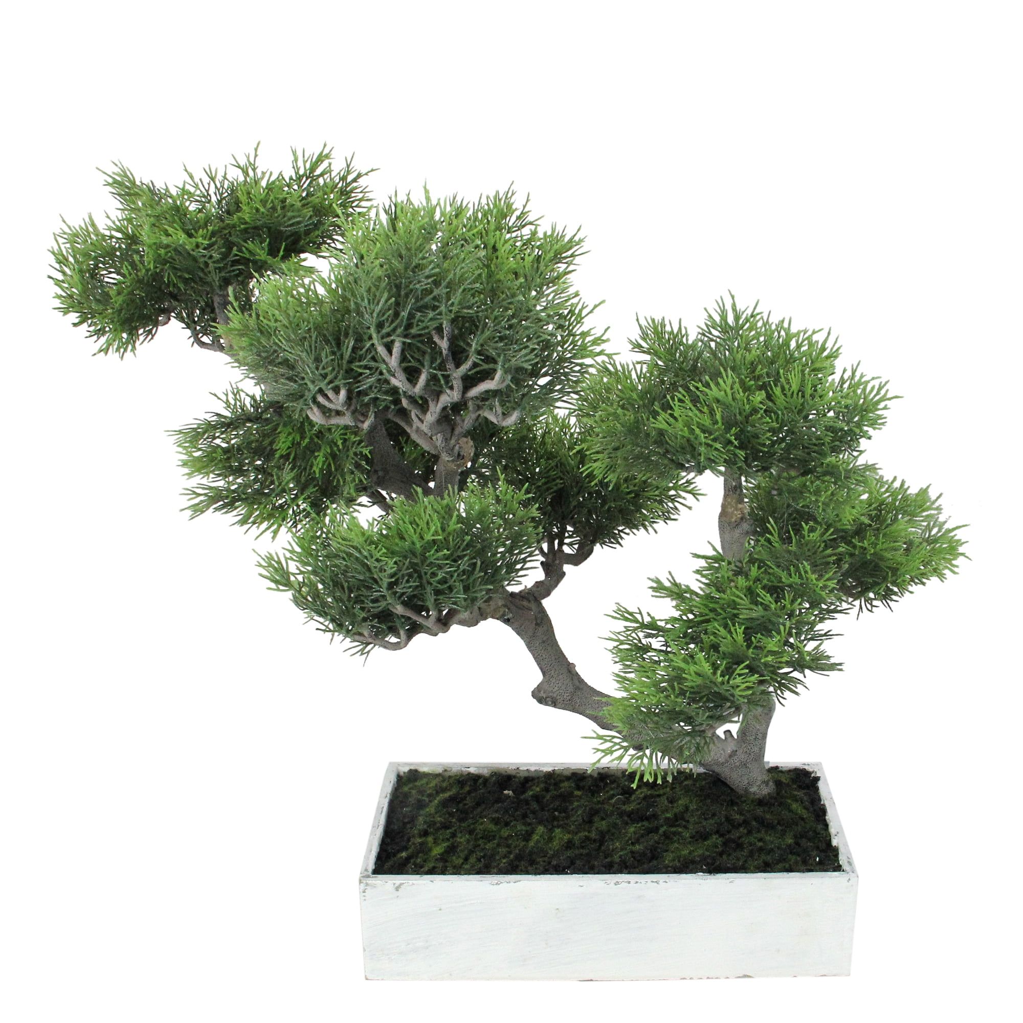 Green Plastic Japanese Bonsai Tree in White Planter Box