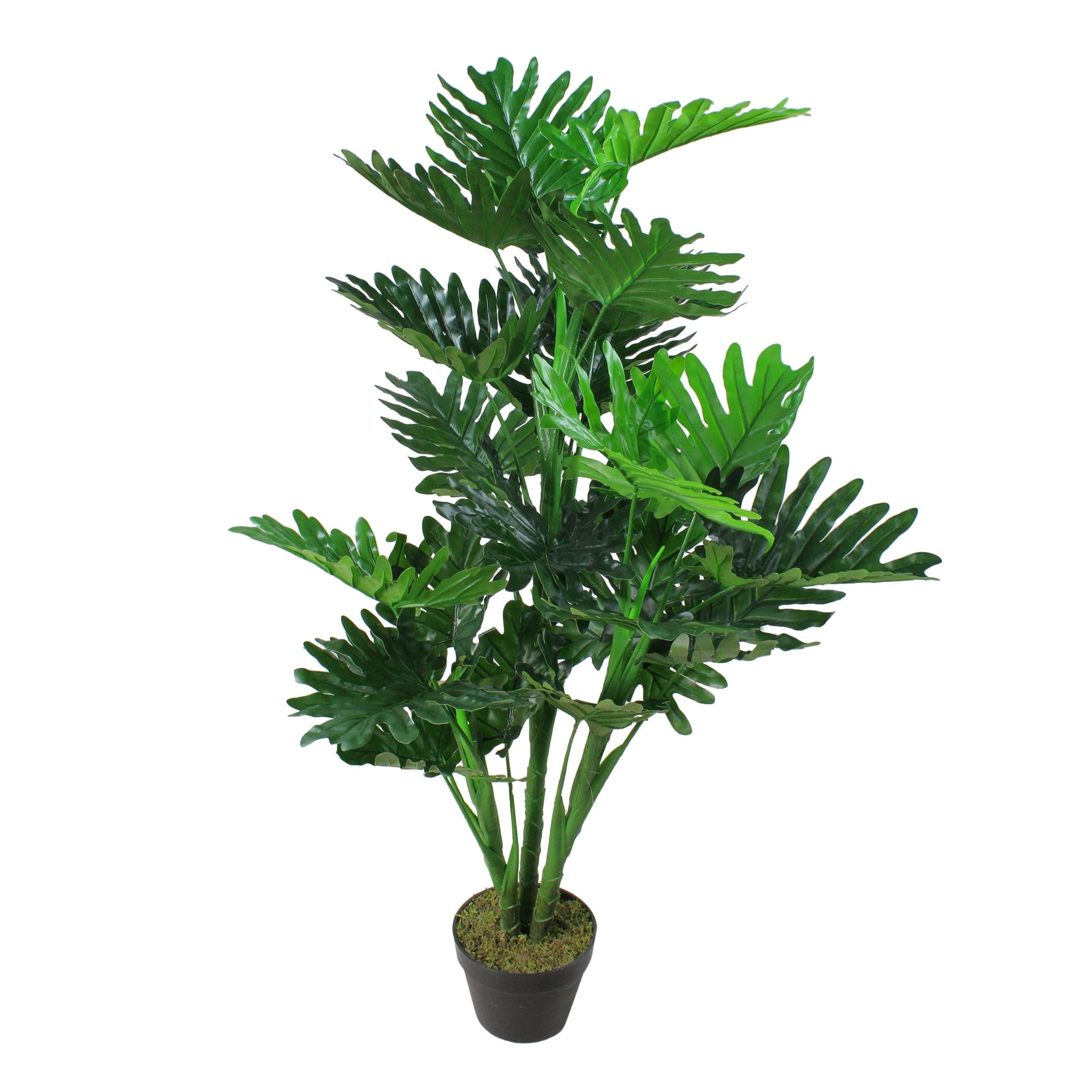 Evergreen 47" Philodendron Selloum in Decorative Black Pot