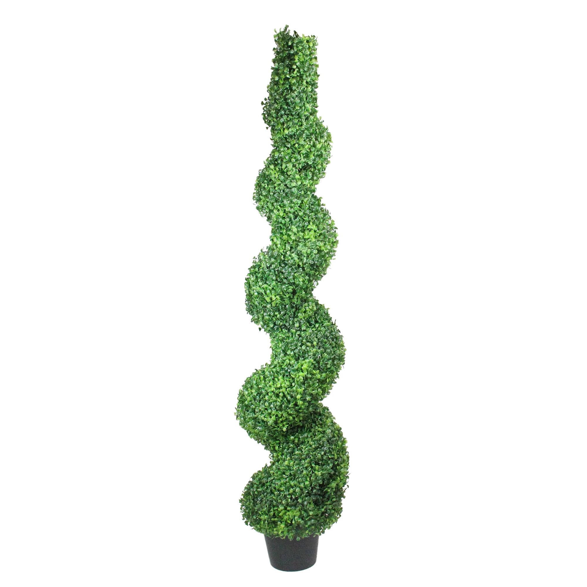 5' Green Spiral Boxwood Topiary in Black Pot