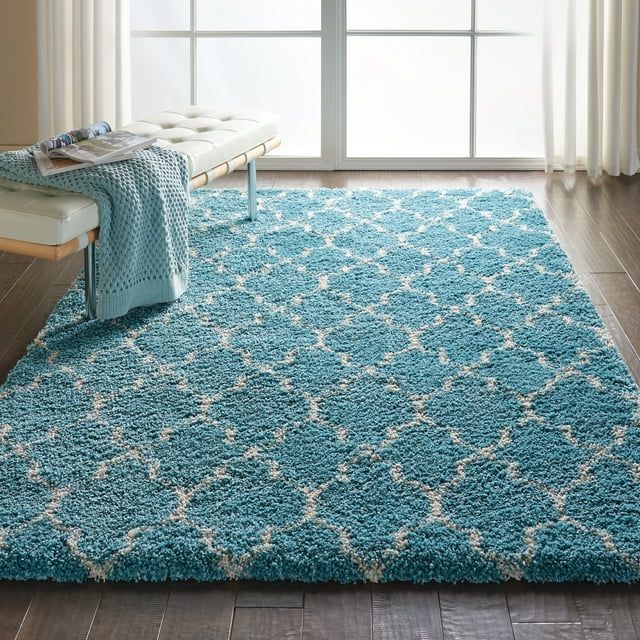 Amore Aqua 5' x 7' Rectangular Shag Area Rug