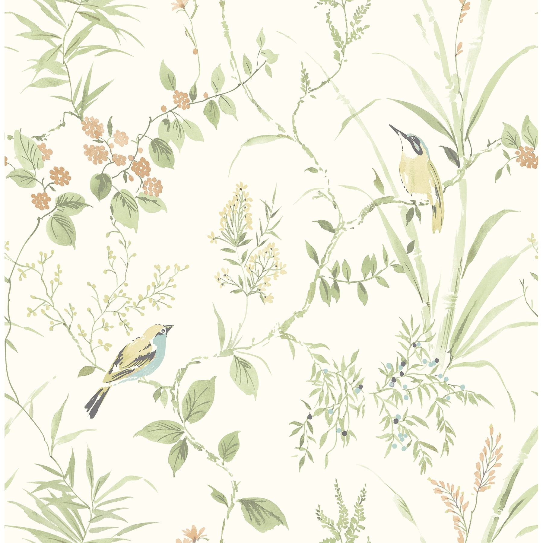 Sage Green Botanical Songbird Peel and Stick Wallpaper