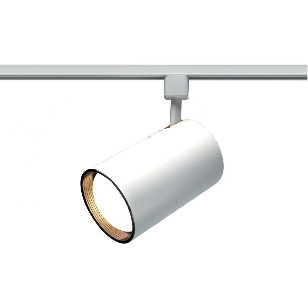 White 5.5" Transitional Track Light Head with CFL Bulb