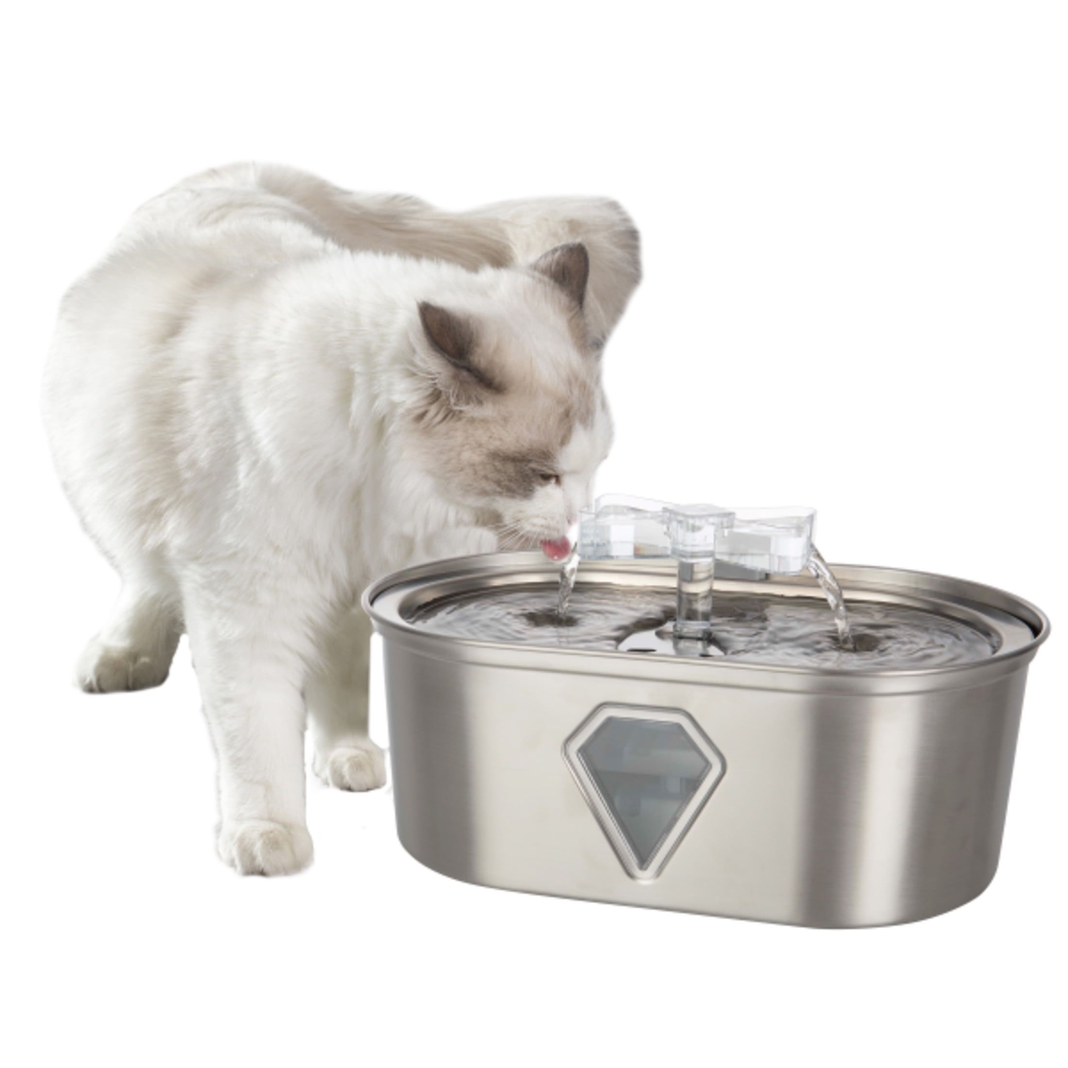 Stainless Steel 3.5L Pet Water Fountain with Water Level Window